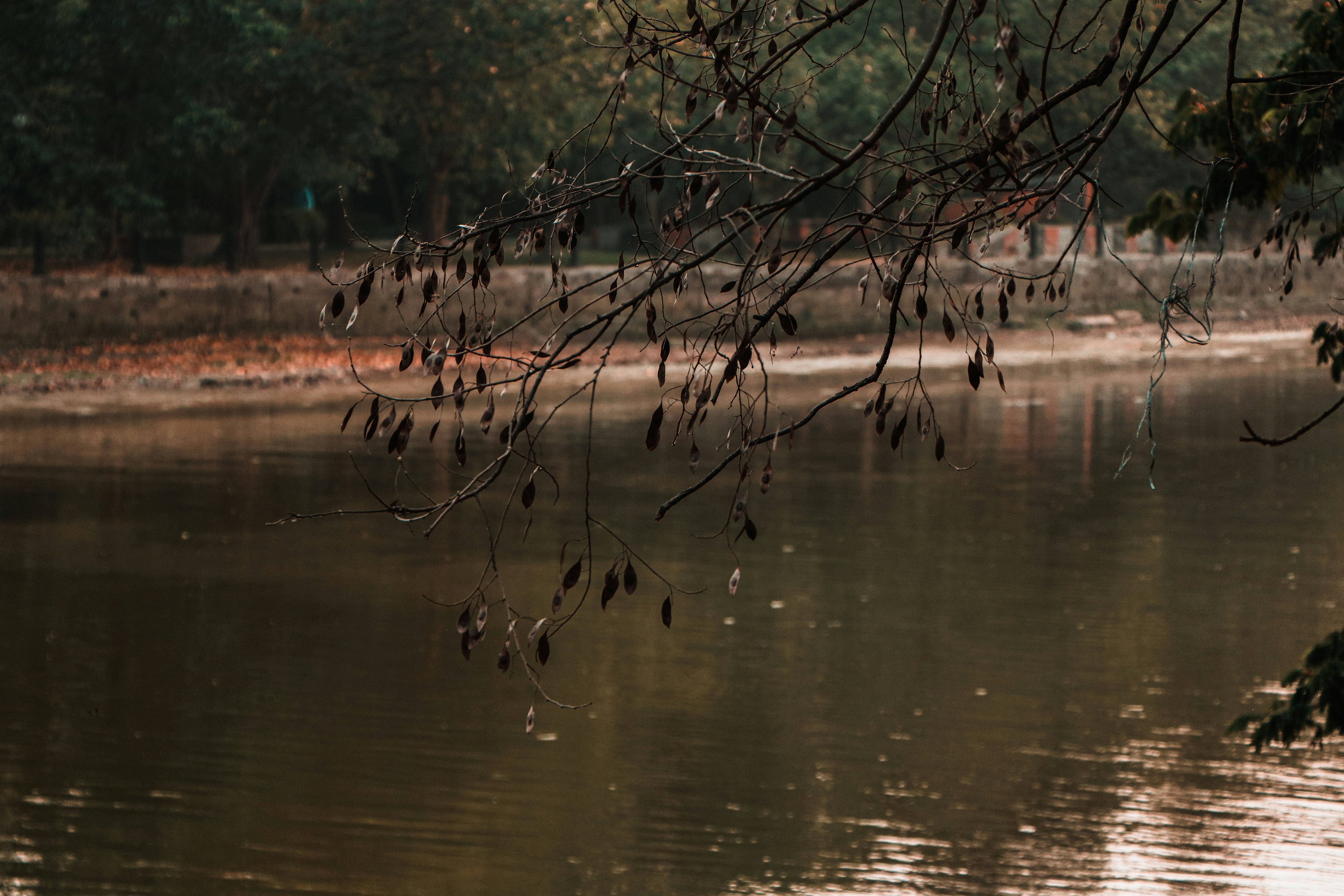 Photo by ankita_clicks