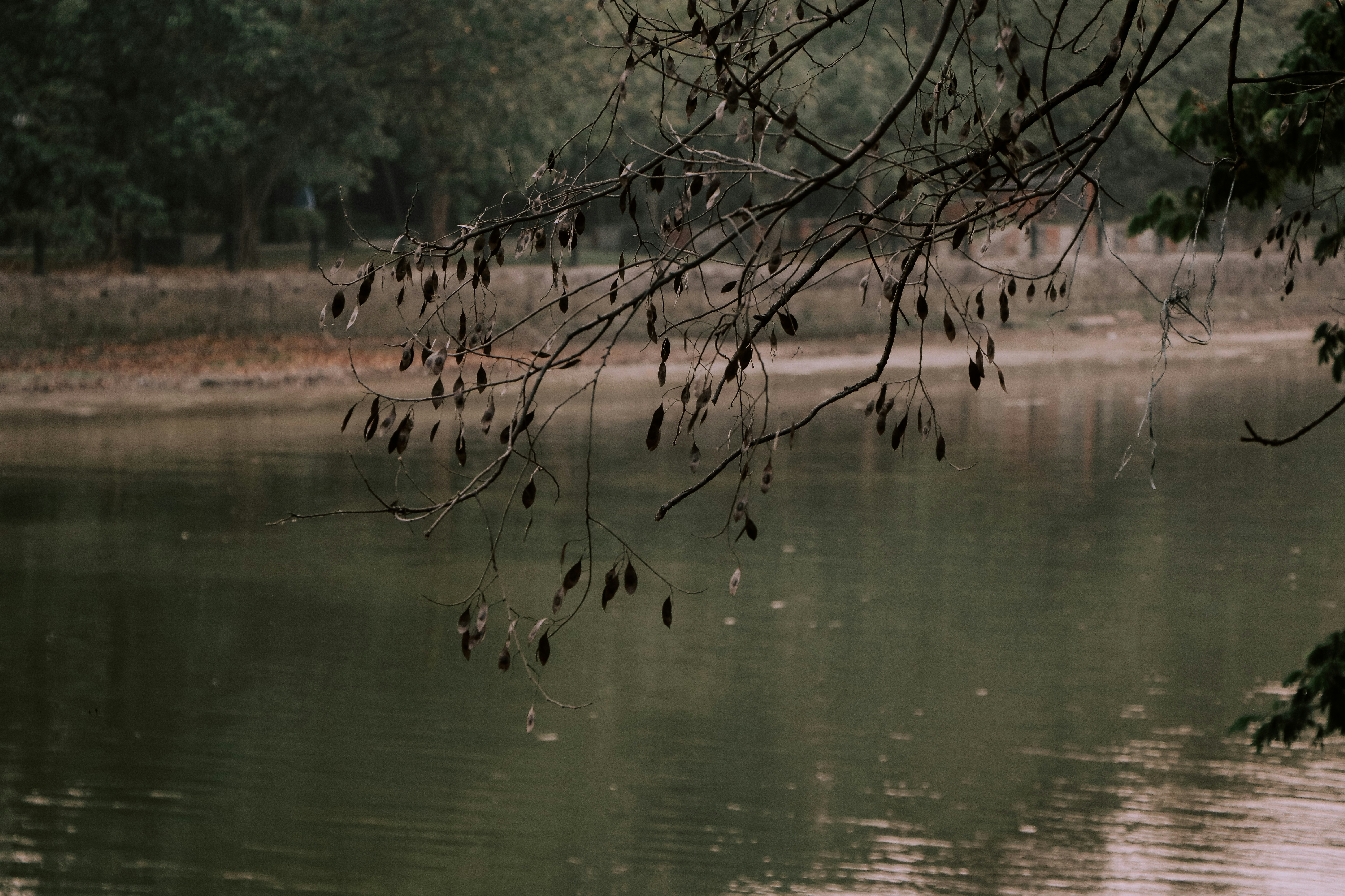 Photo by ankita_clicks