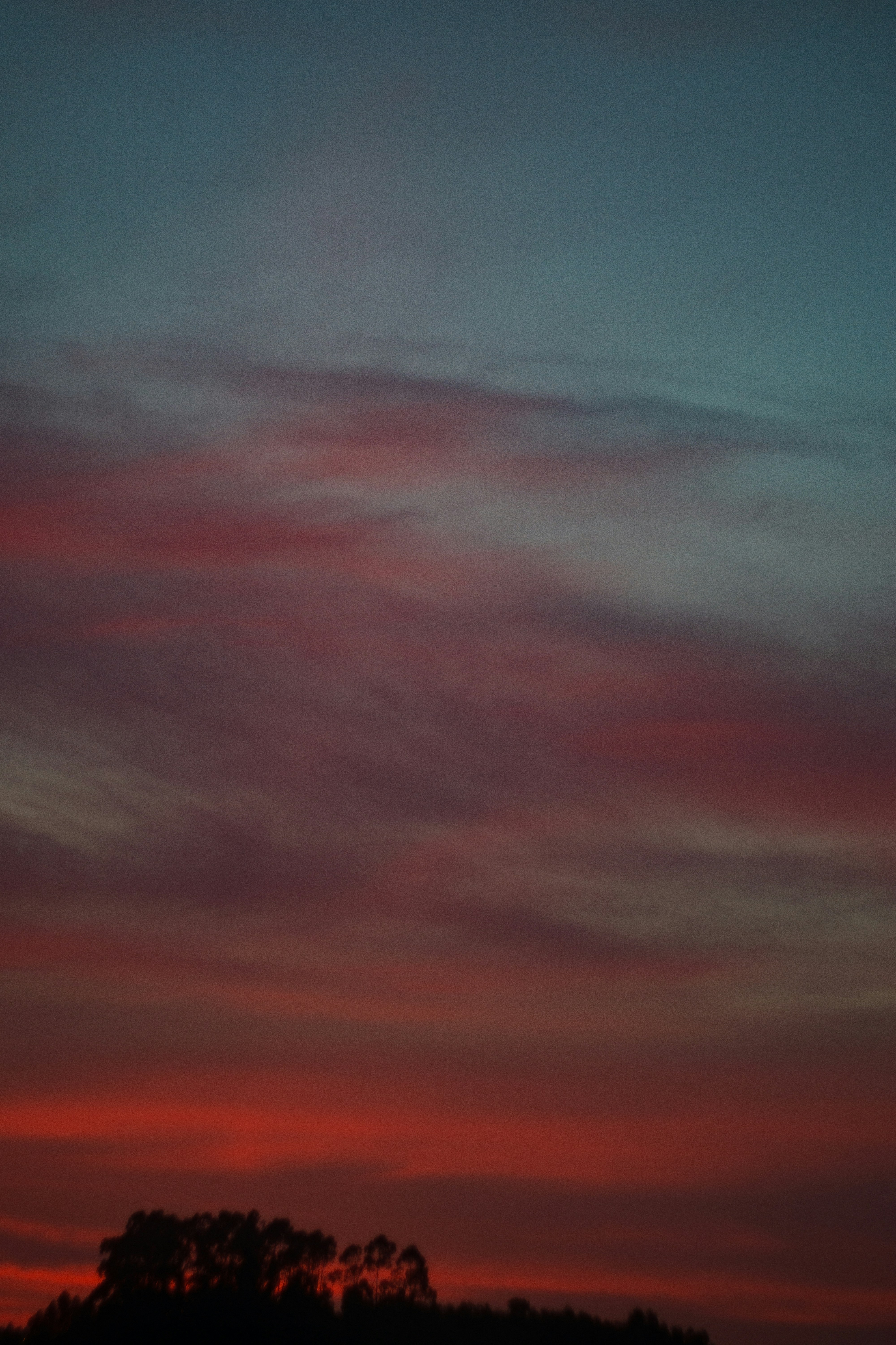 Photo by ruiphotos2k