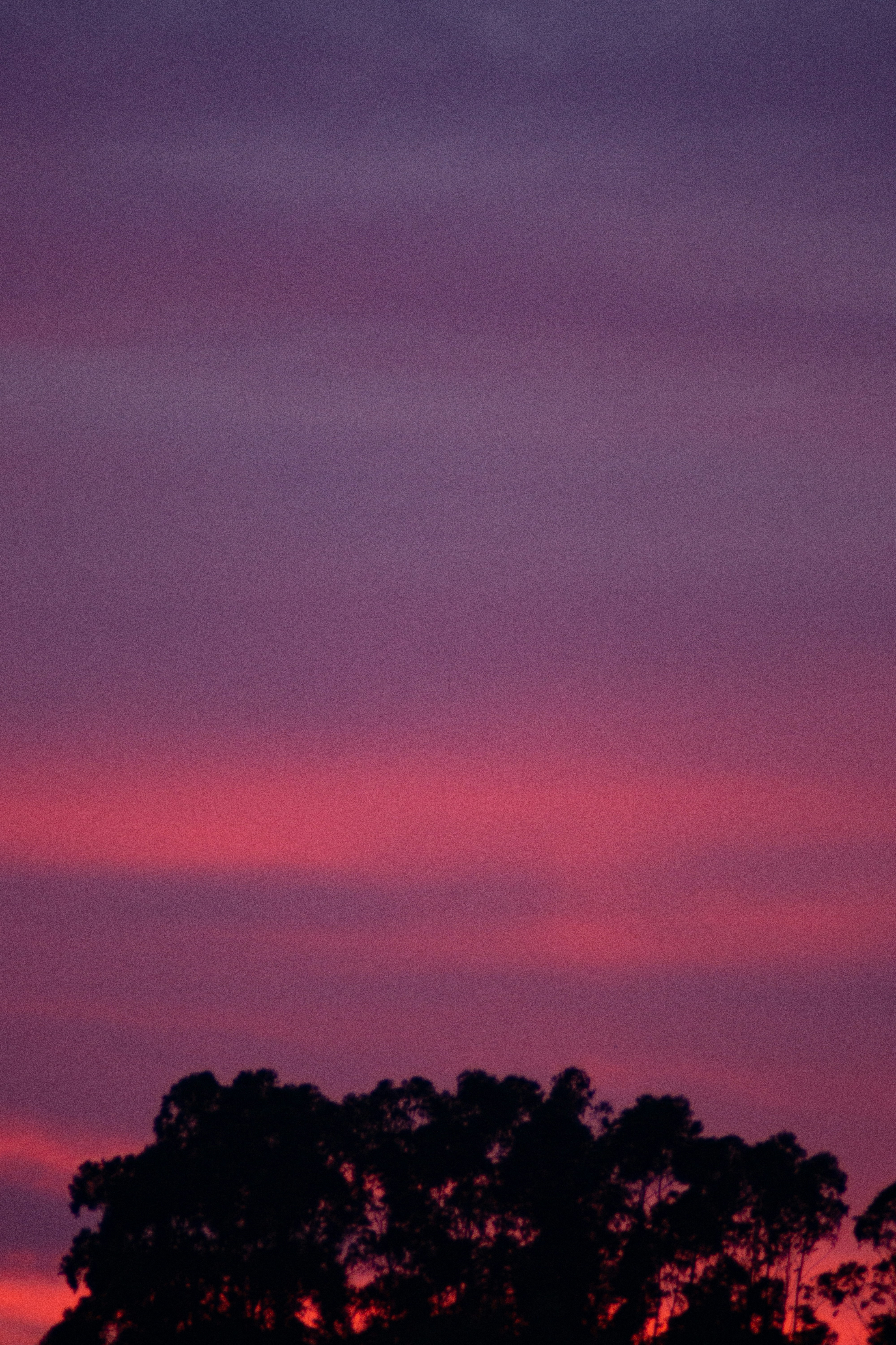 Photo by ruiphotos2k