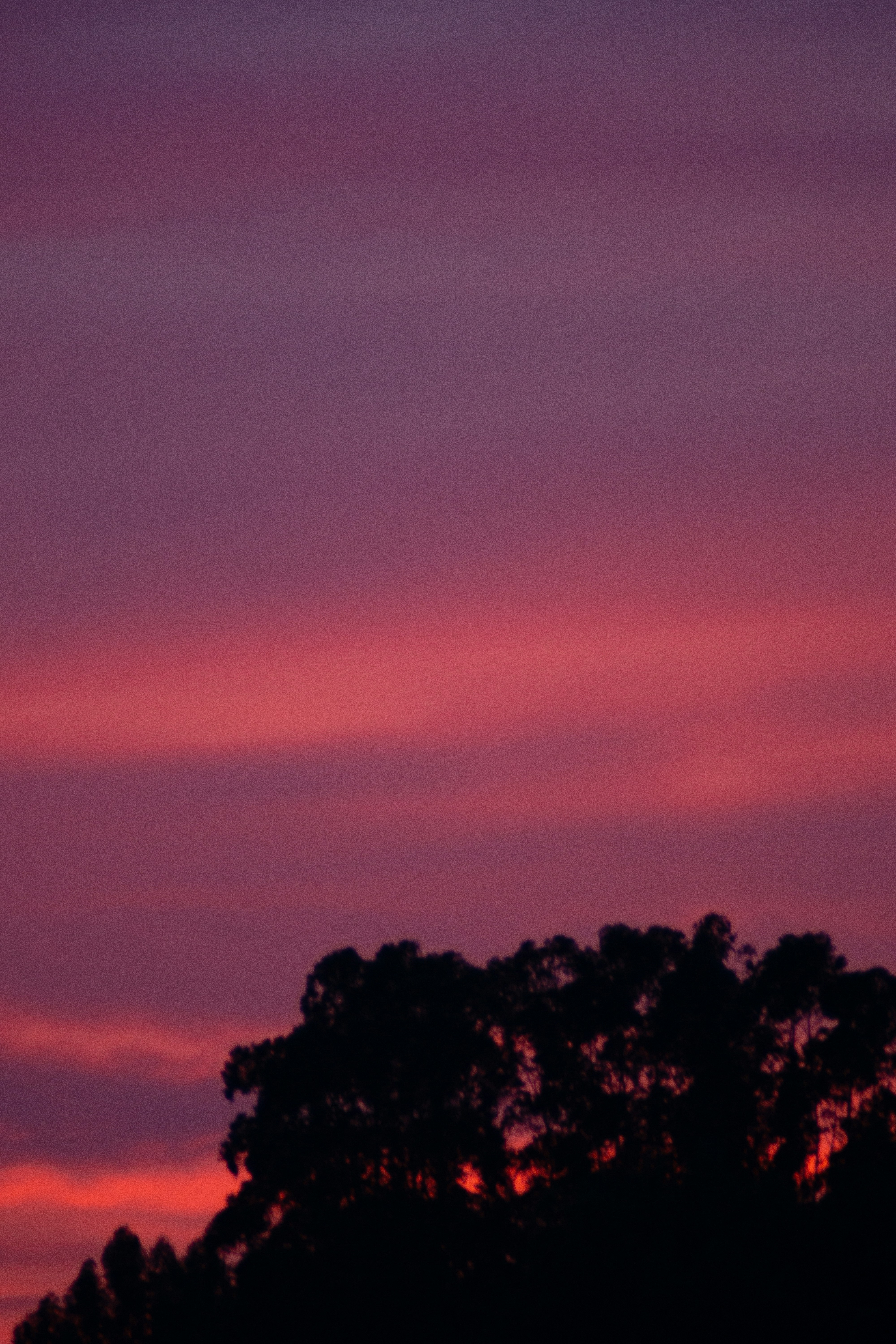 Photo by ruiphotos2k