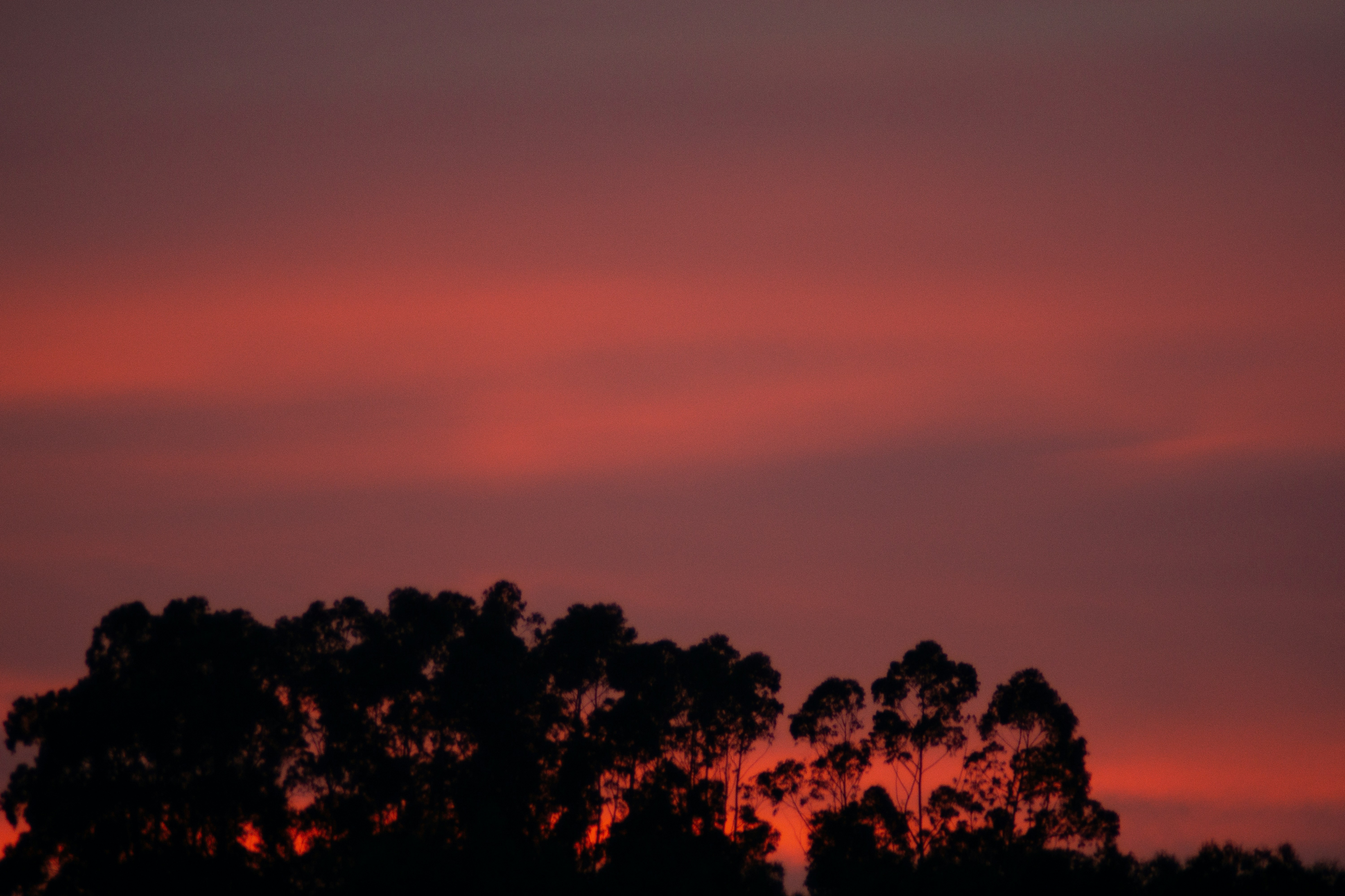 Photo by ruiphotos2k