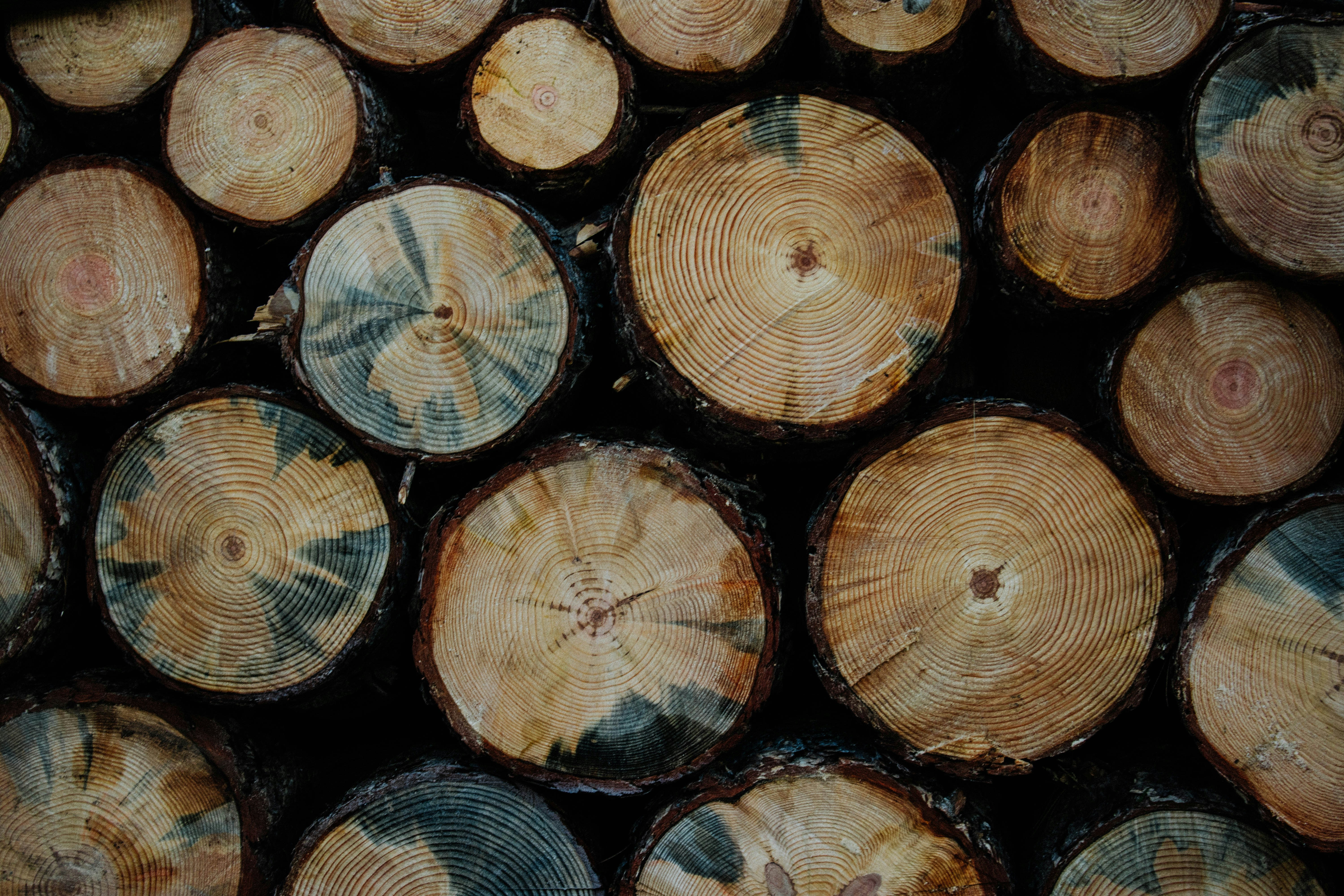 Photo by davidvilches