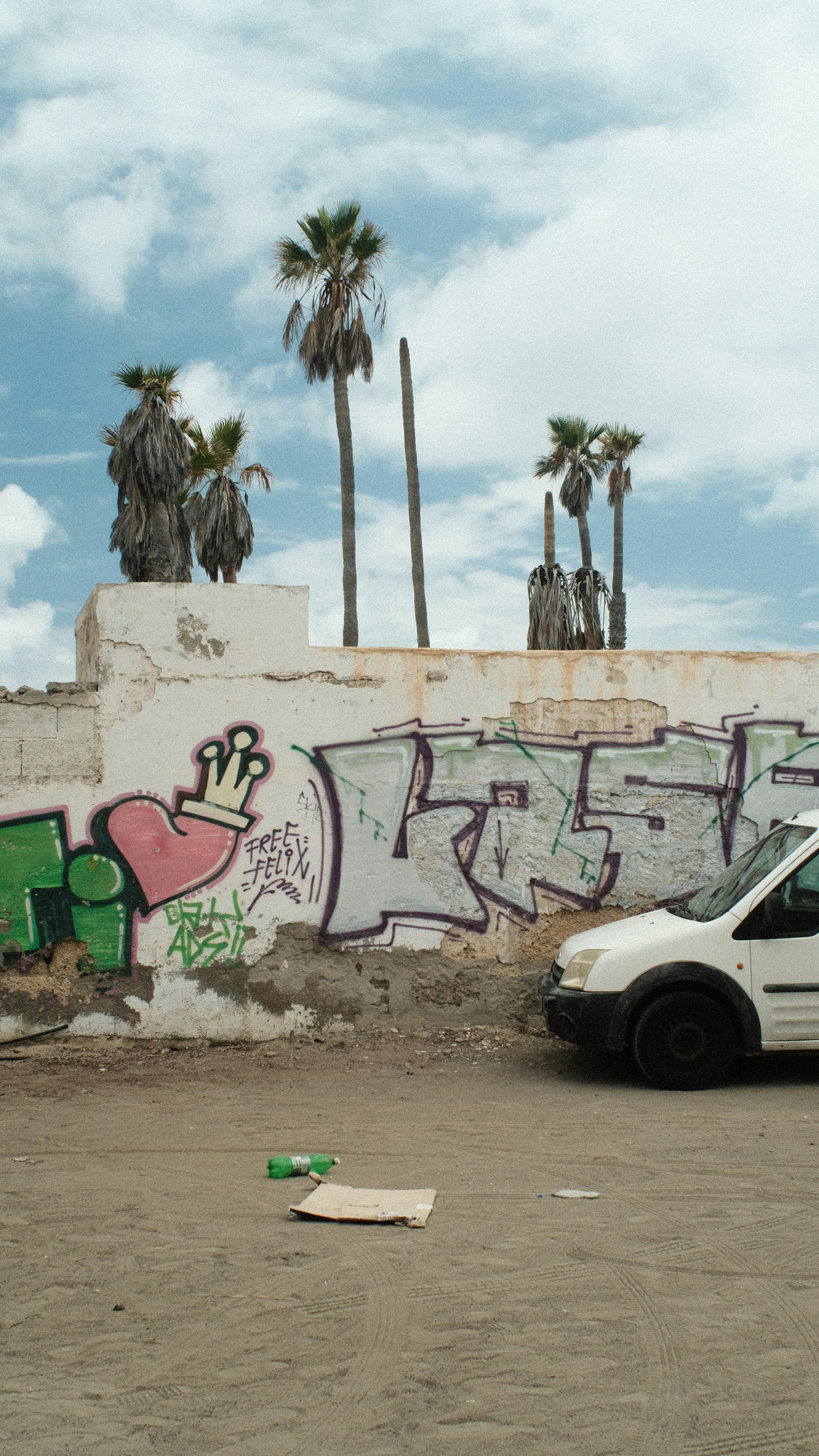 un furgone parcheggiato davanti a un muro coperto di graffiti