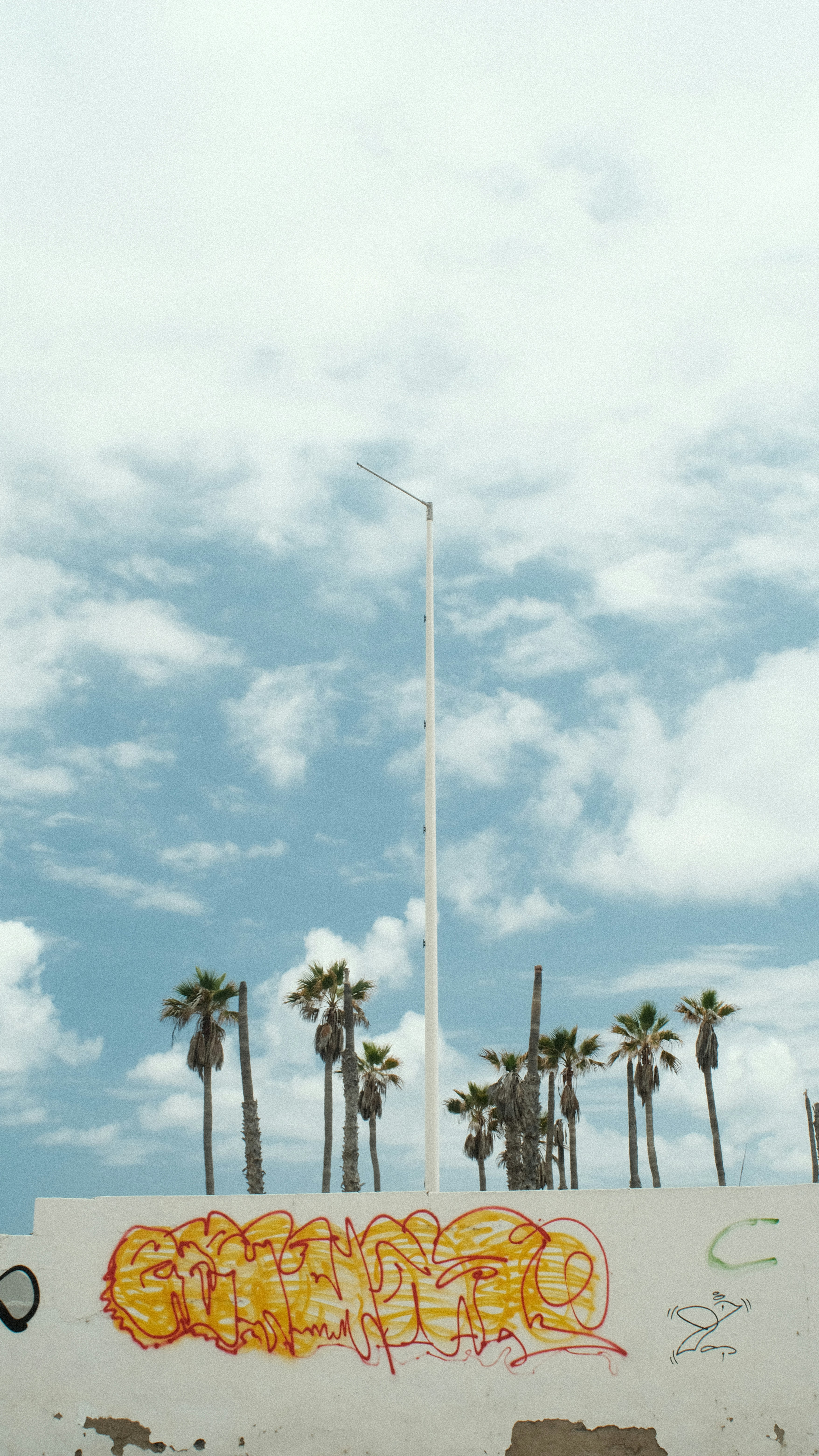 Uno skateboarder sta facendo un trick su una rampa