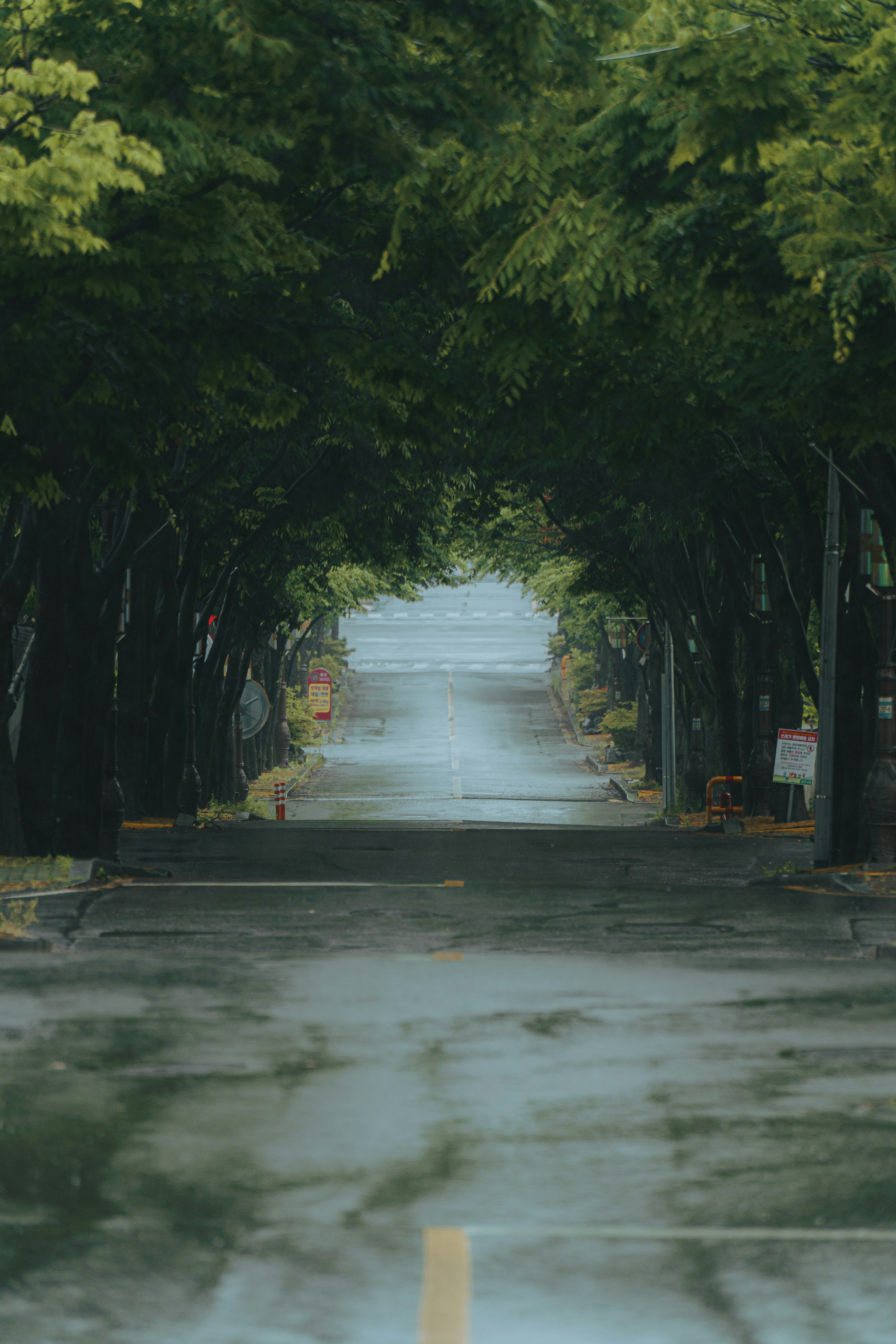Photo by charamelon