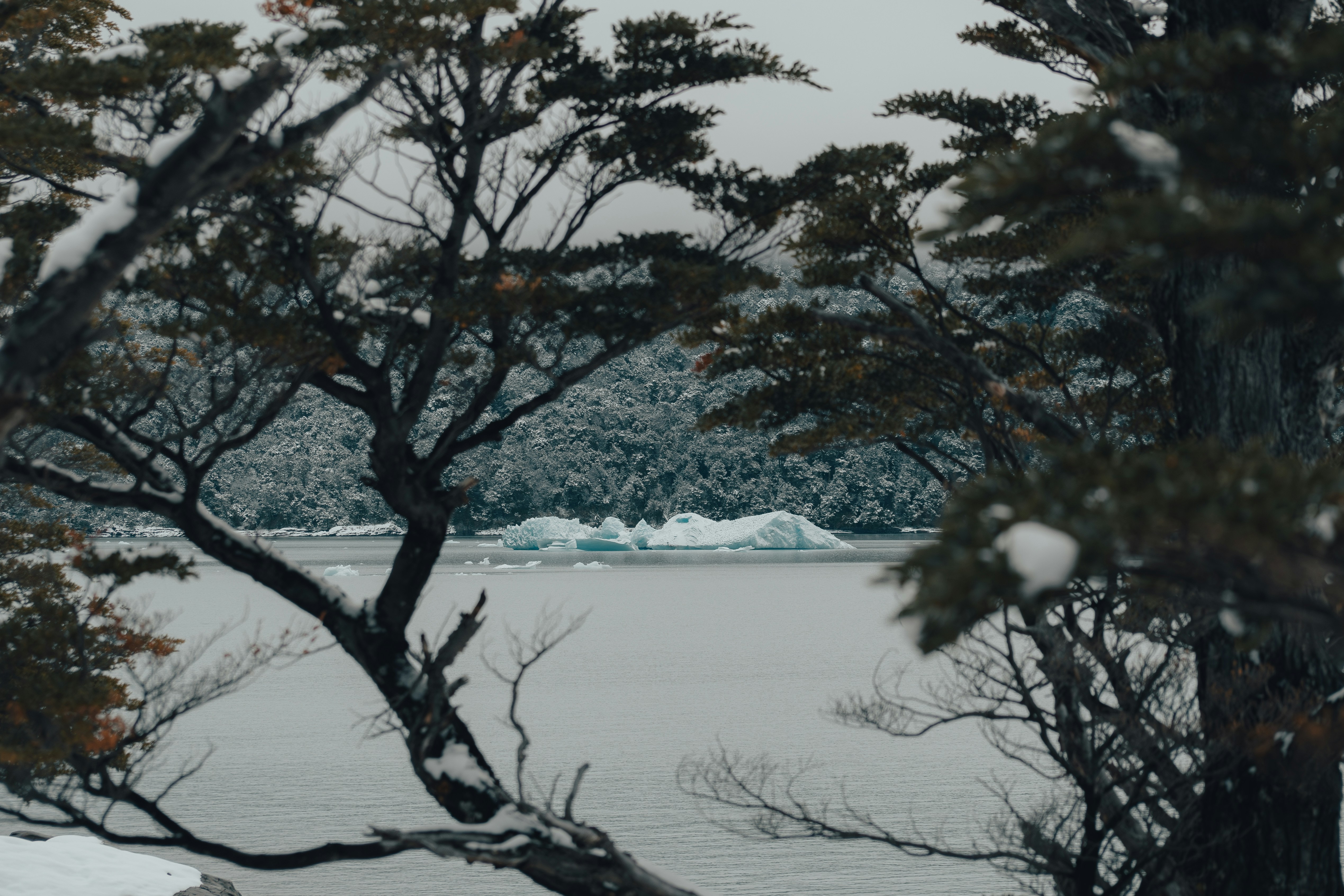 Photo by gasparzaldo