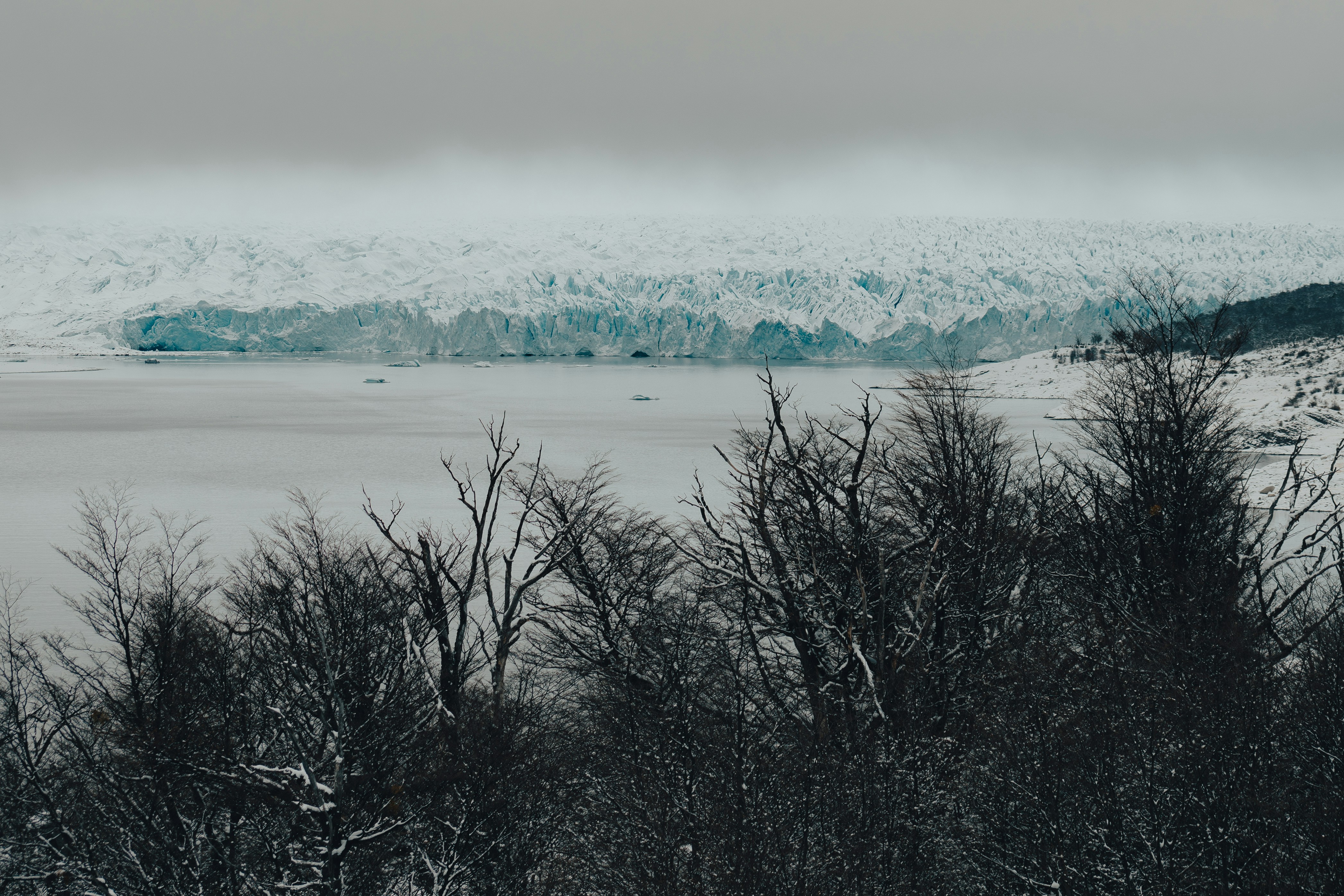 Photo by gasparzaldo