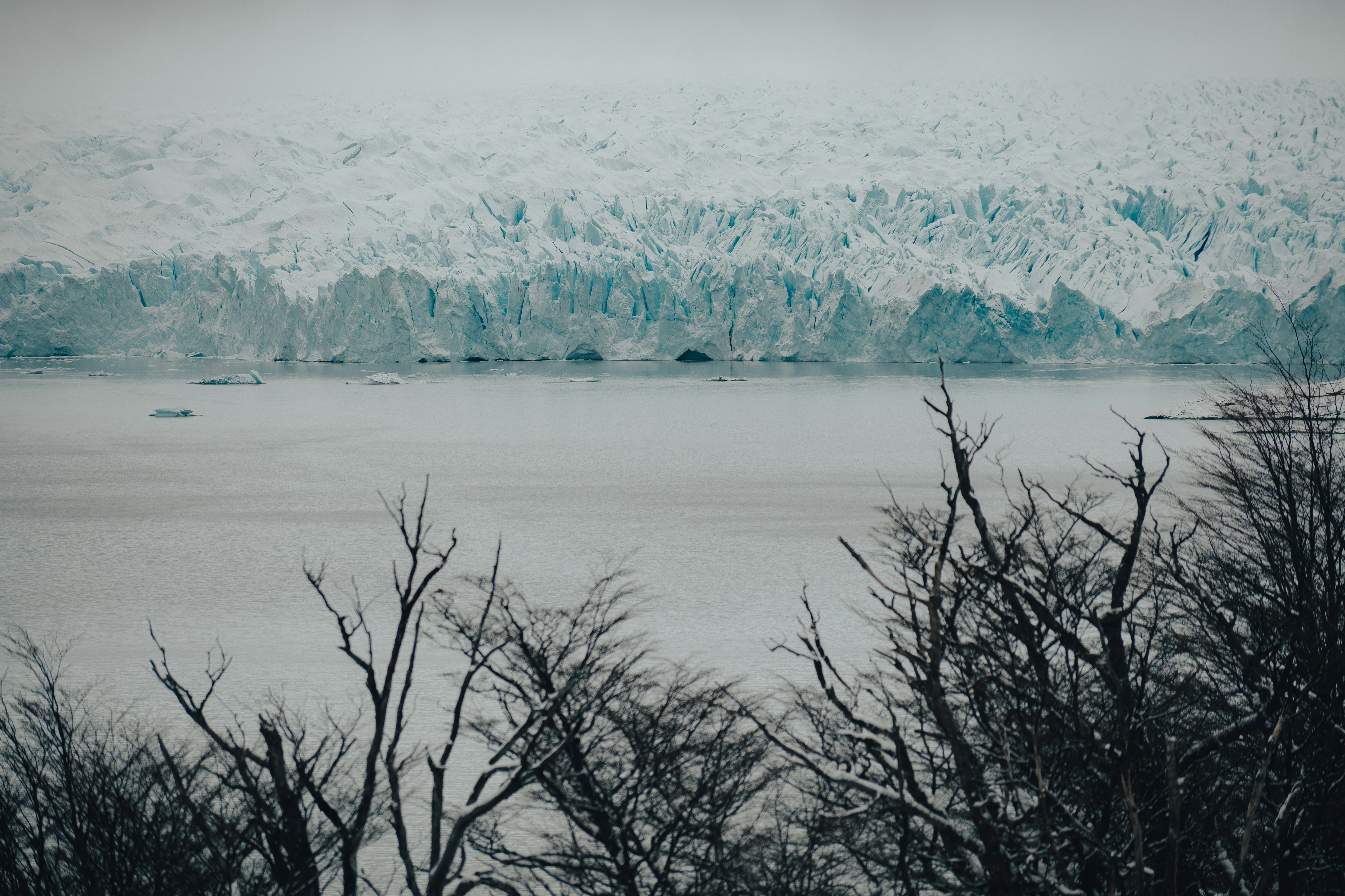 Photo by gasparzaldo