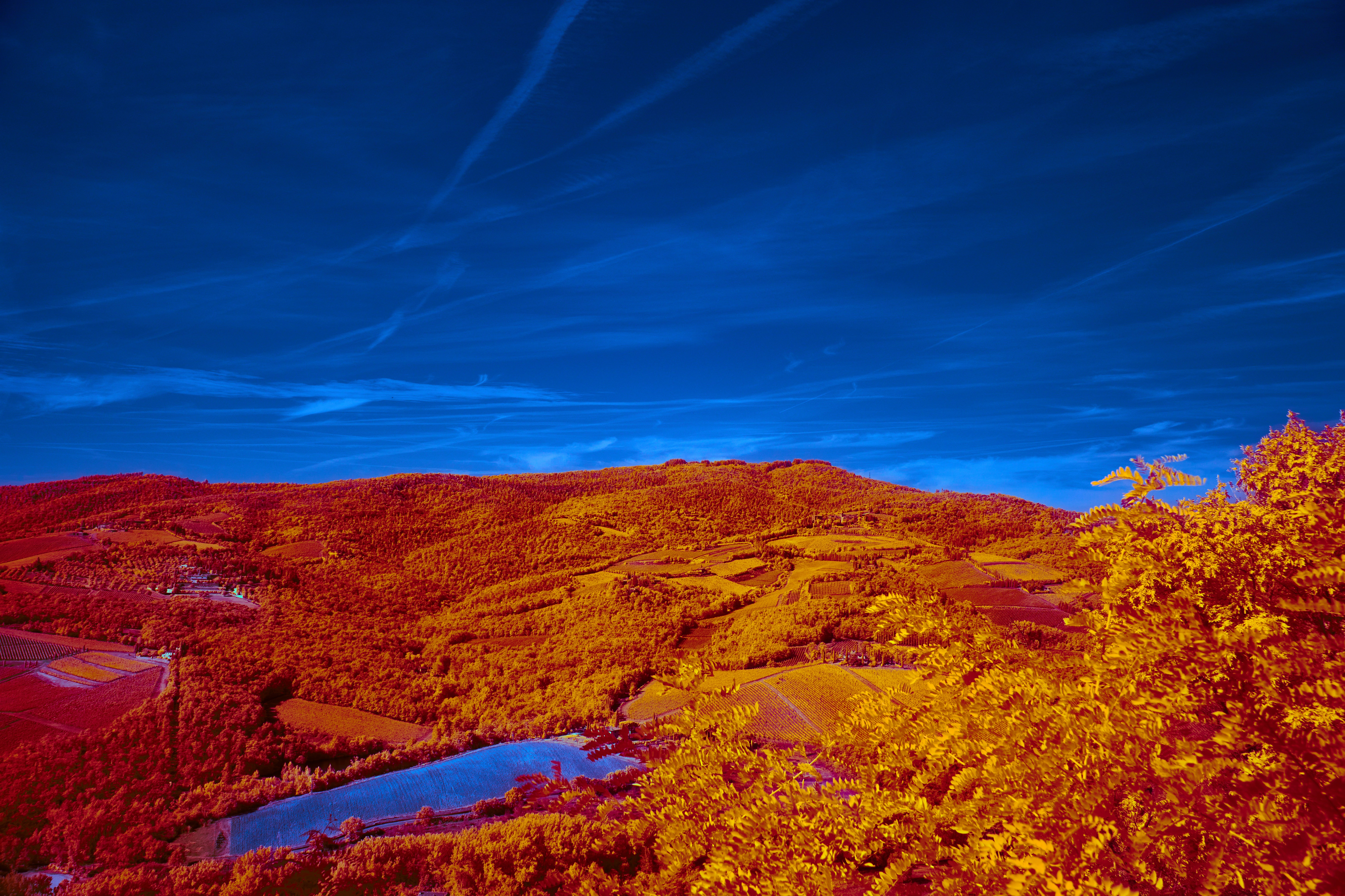 Photo by wolfgang_hasselmann