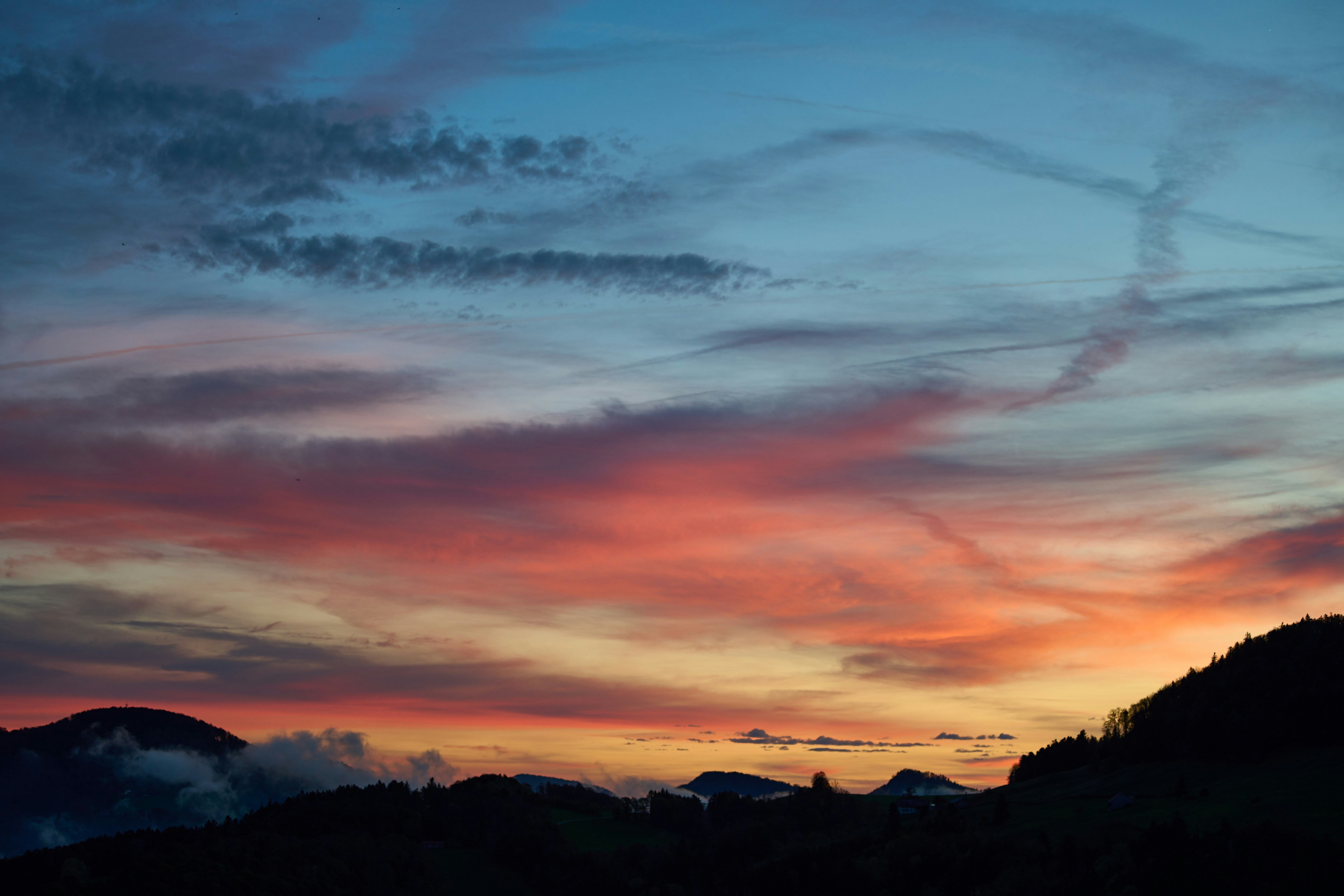 Photo by wolfgang_hasselmann