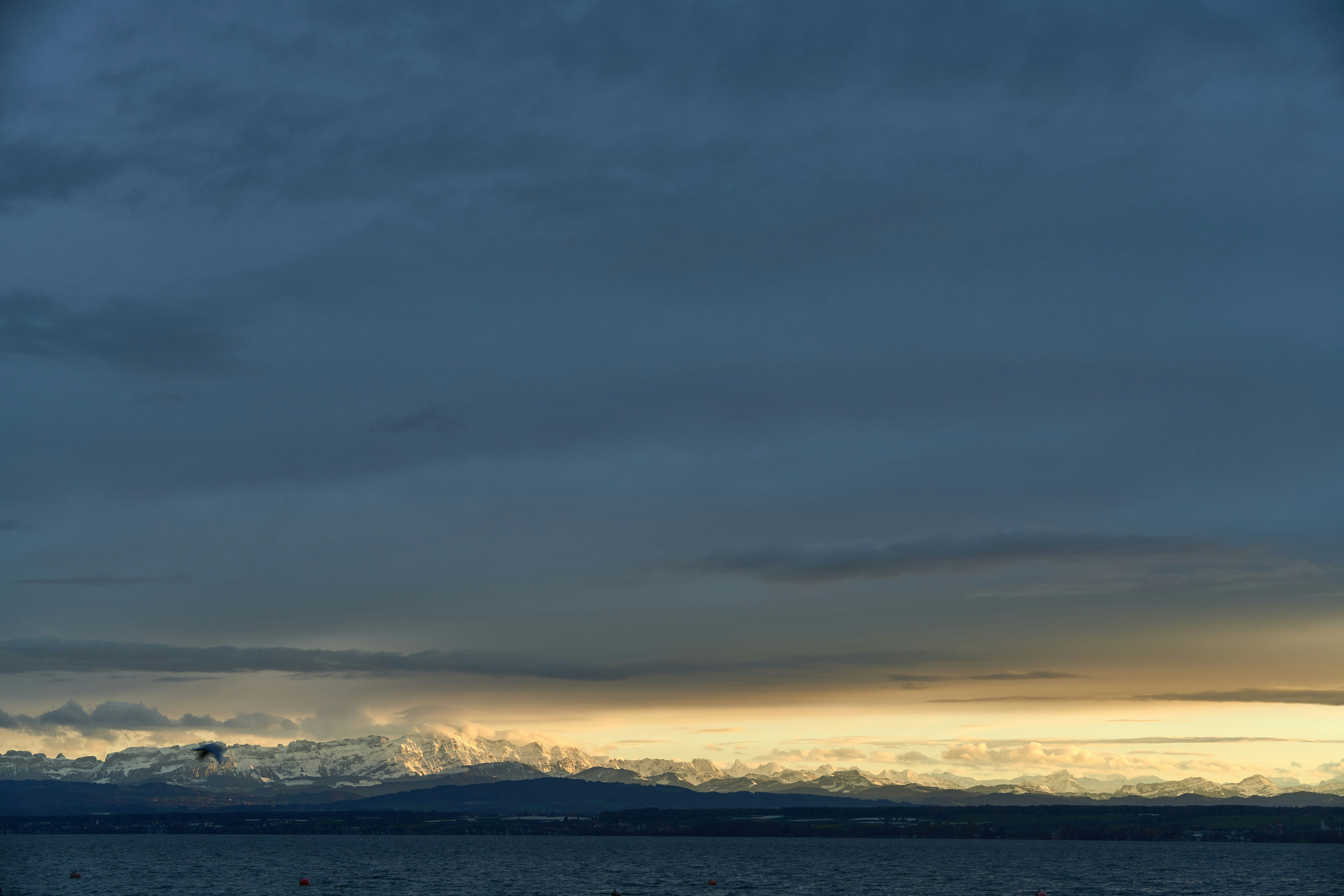 Photo by wolfgang_hasselmann