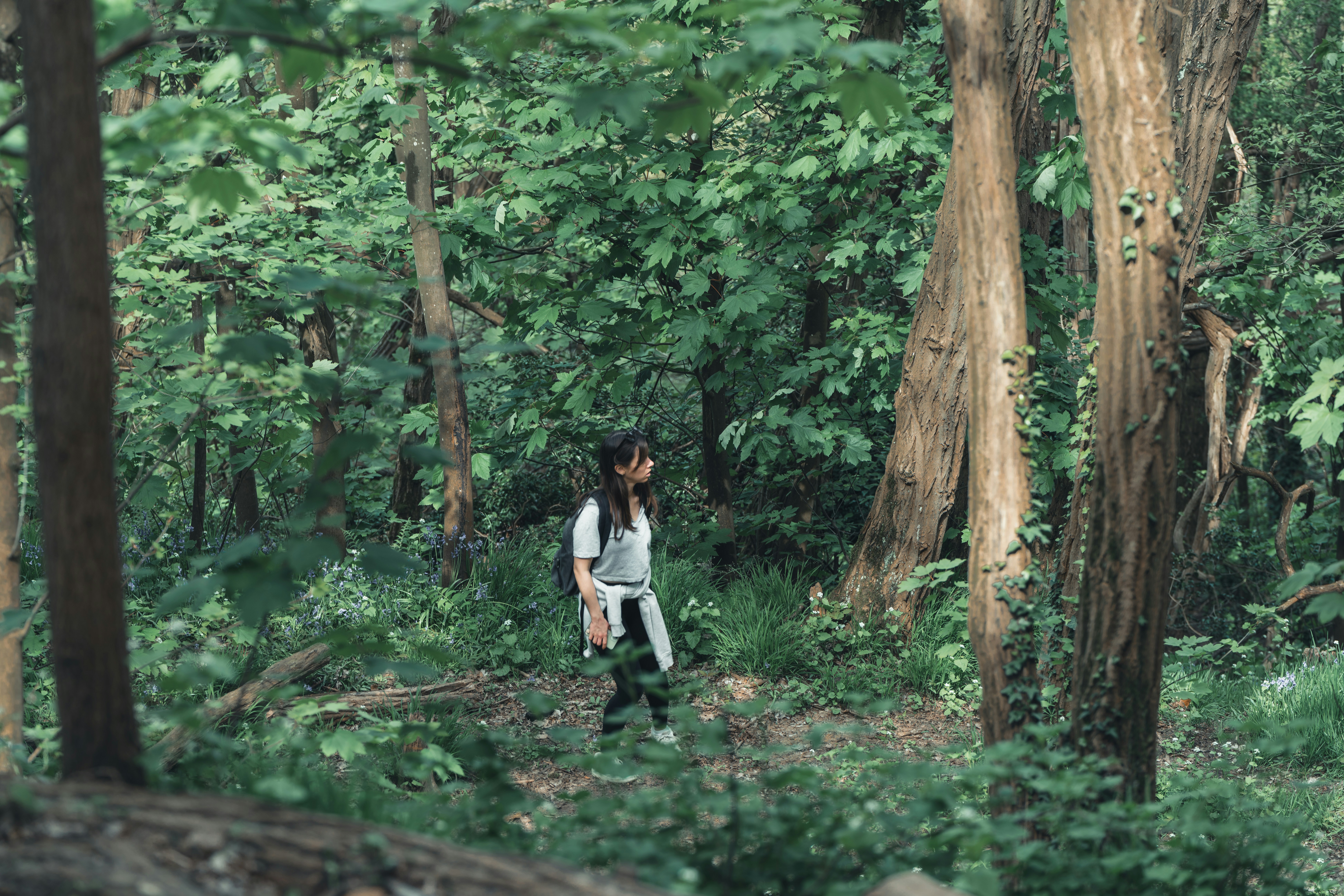 Photo by qt_picture