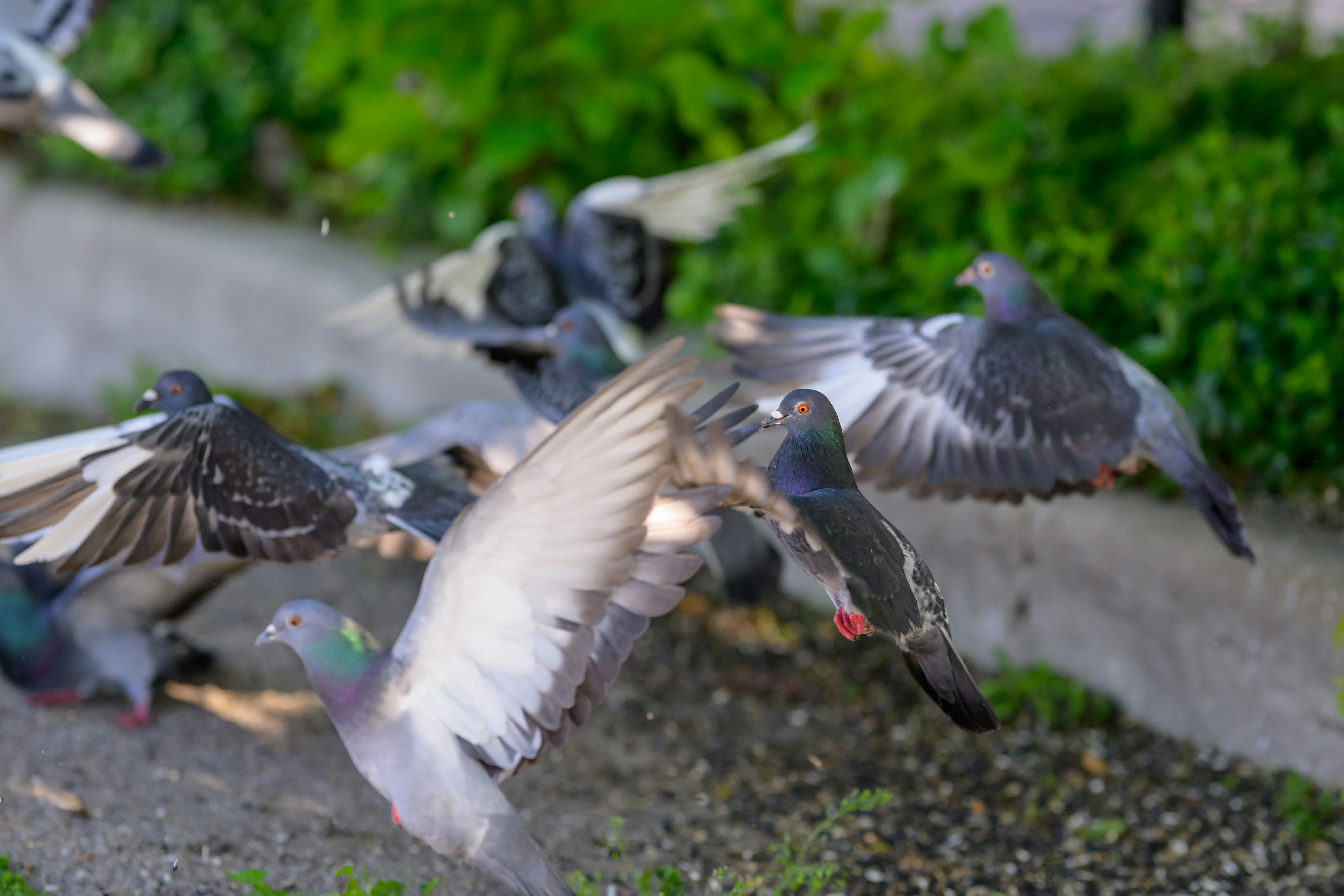 Photo by thejoshhoward