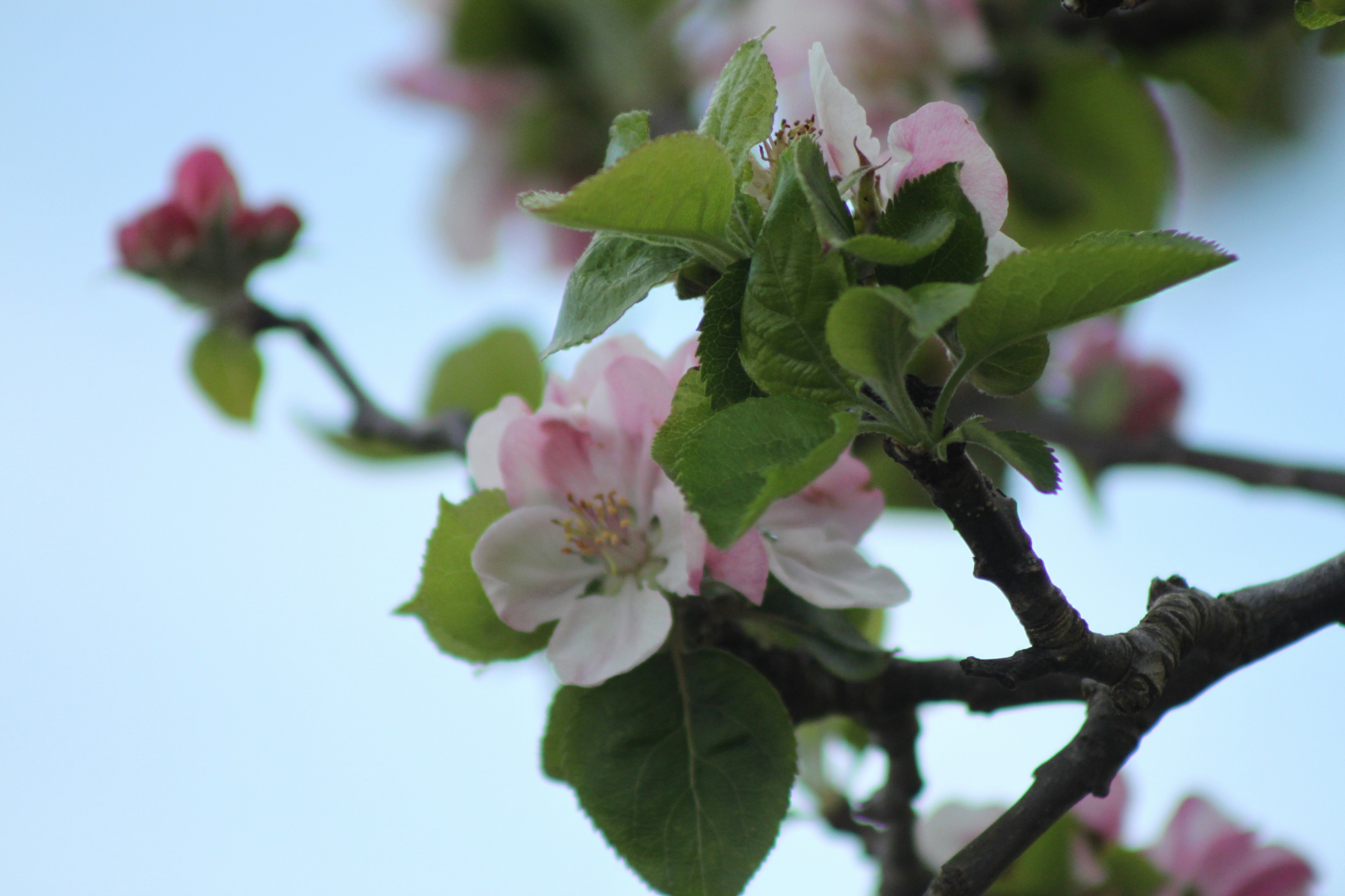 Photo by rubyphotography