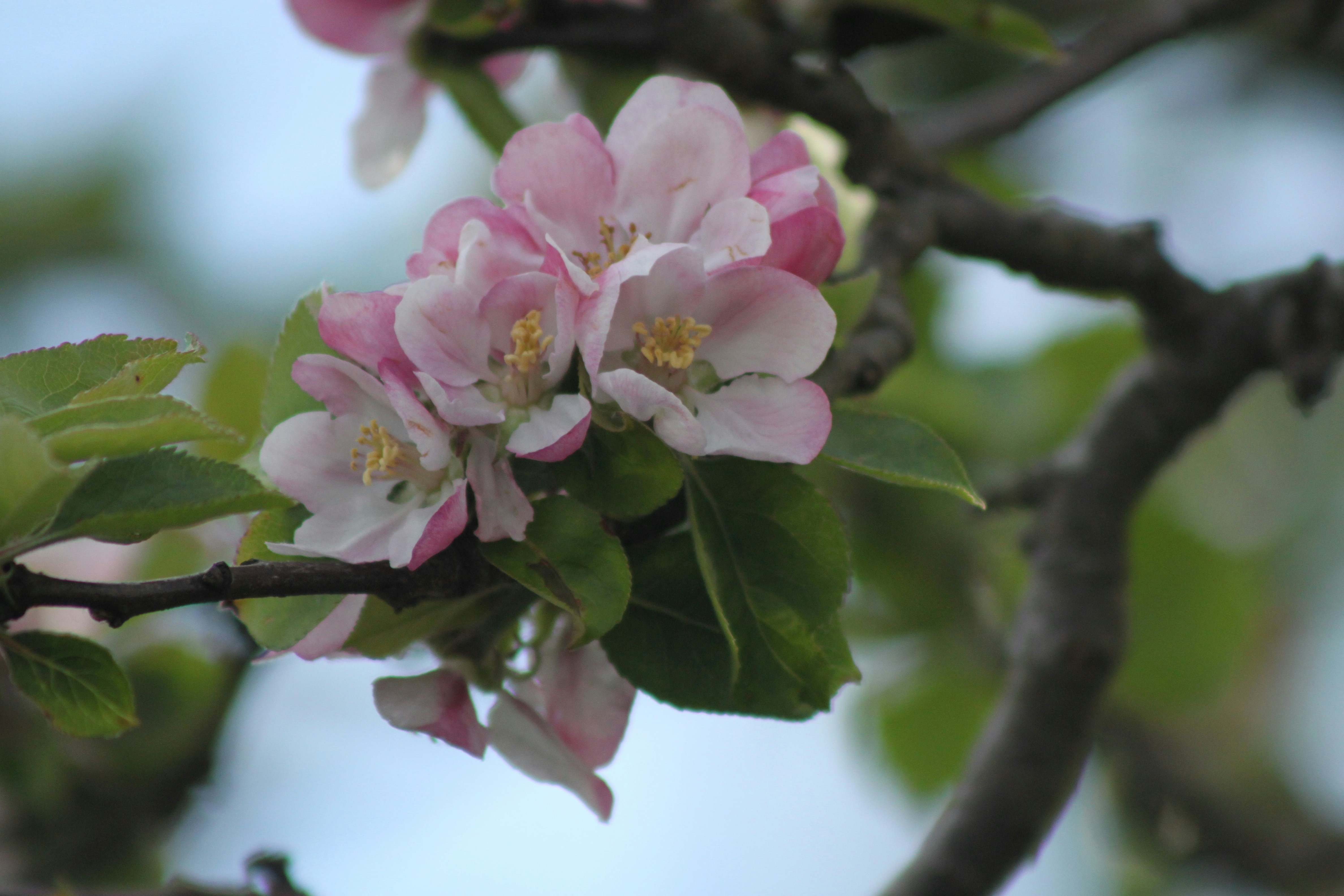 Photo by rubyphotography