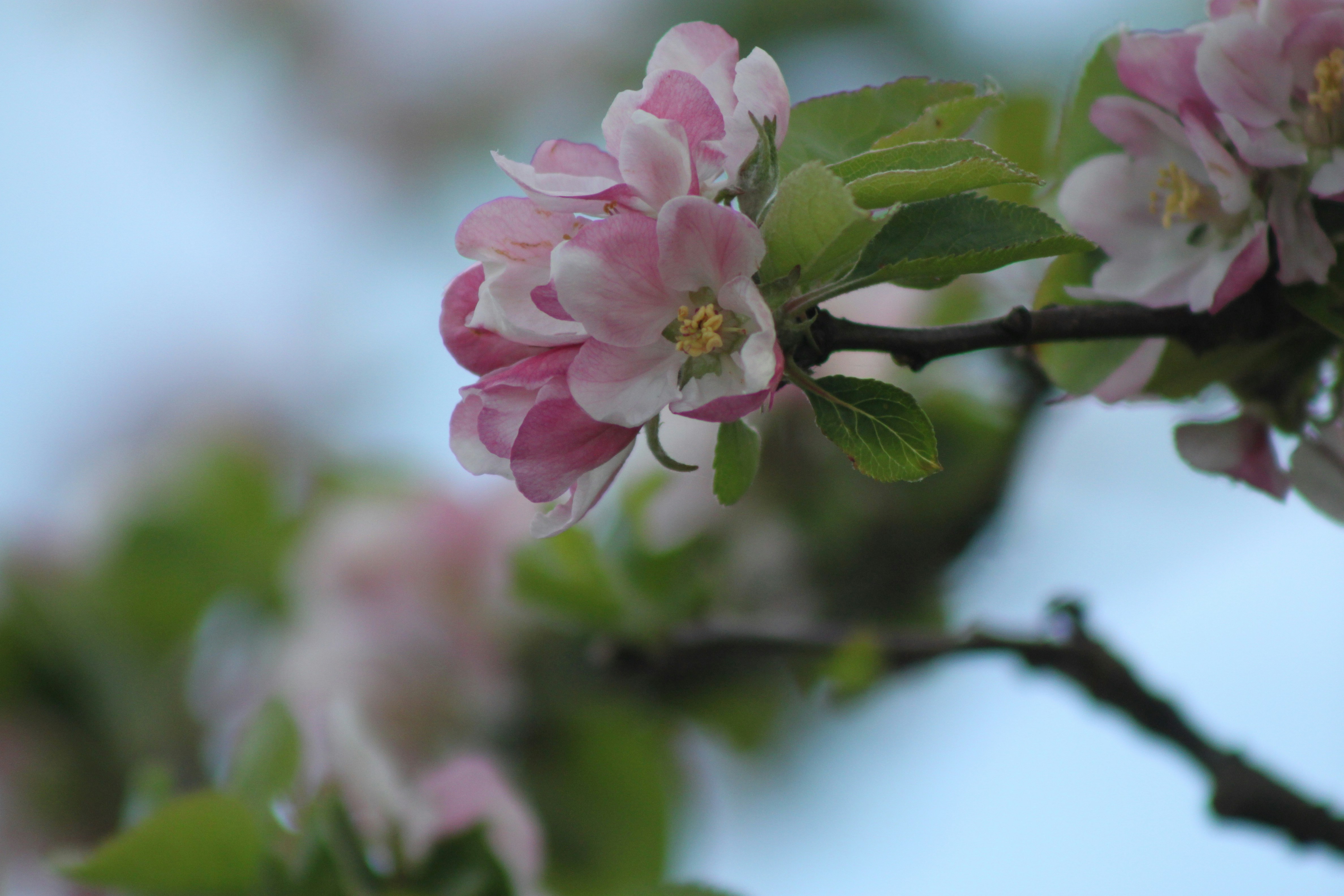 Photo by rubyphotography