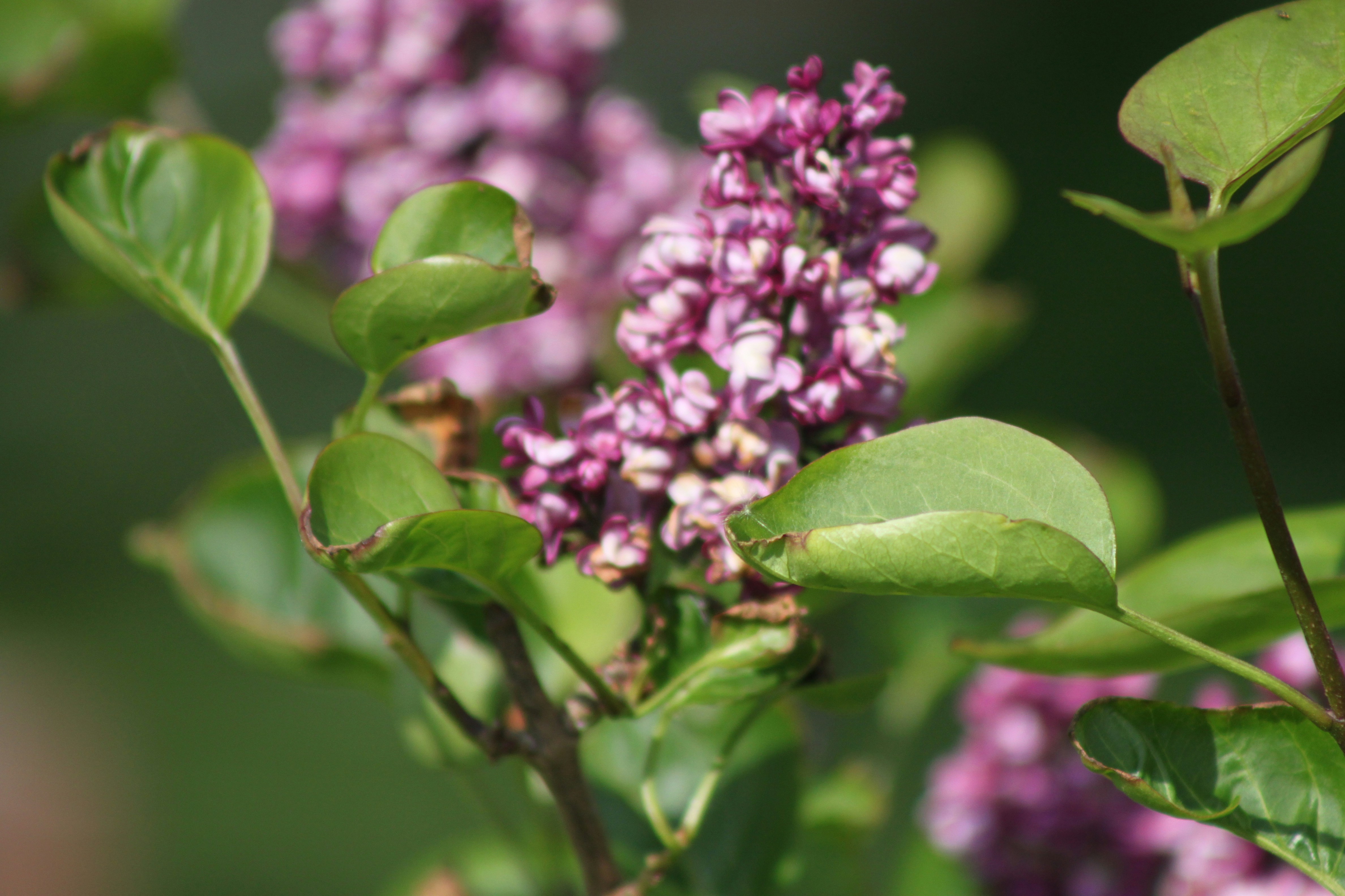 Photo by rubyphotography