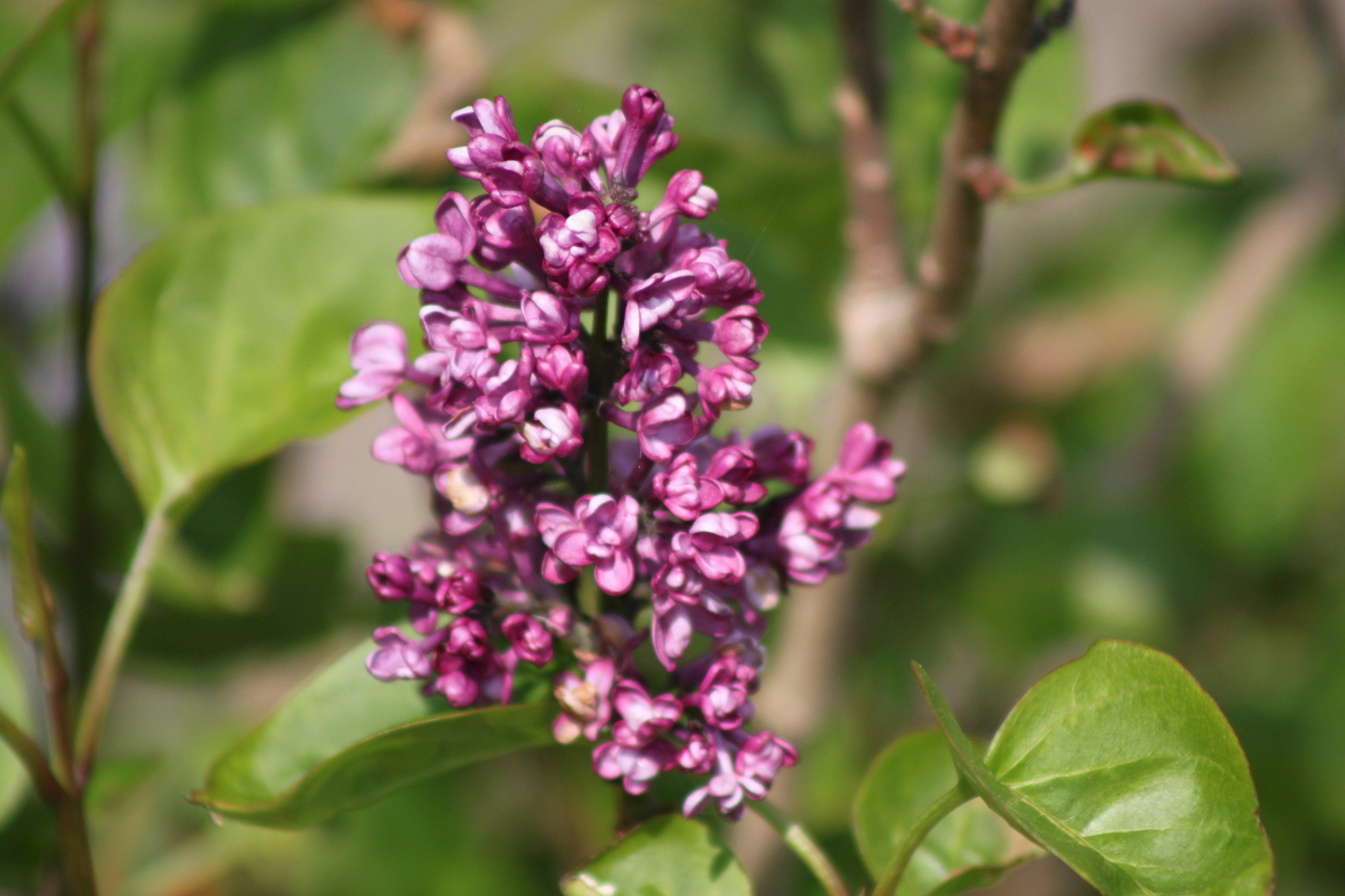 Photo by rubyphotography