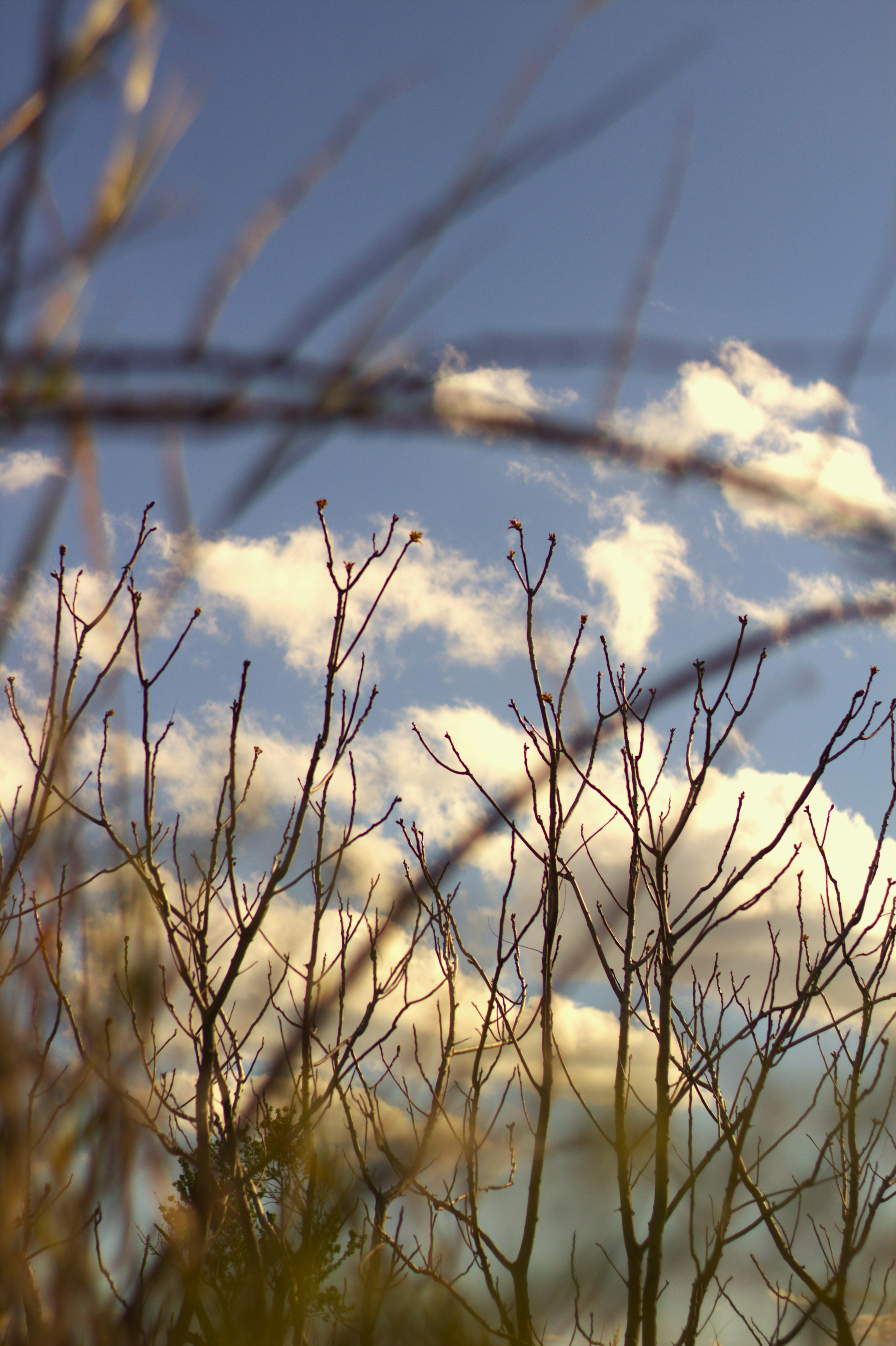 Photo by carlalipani