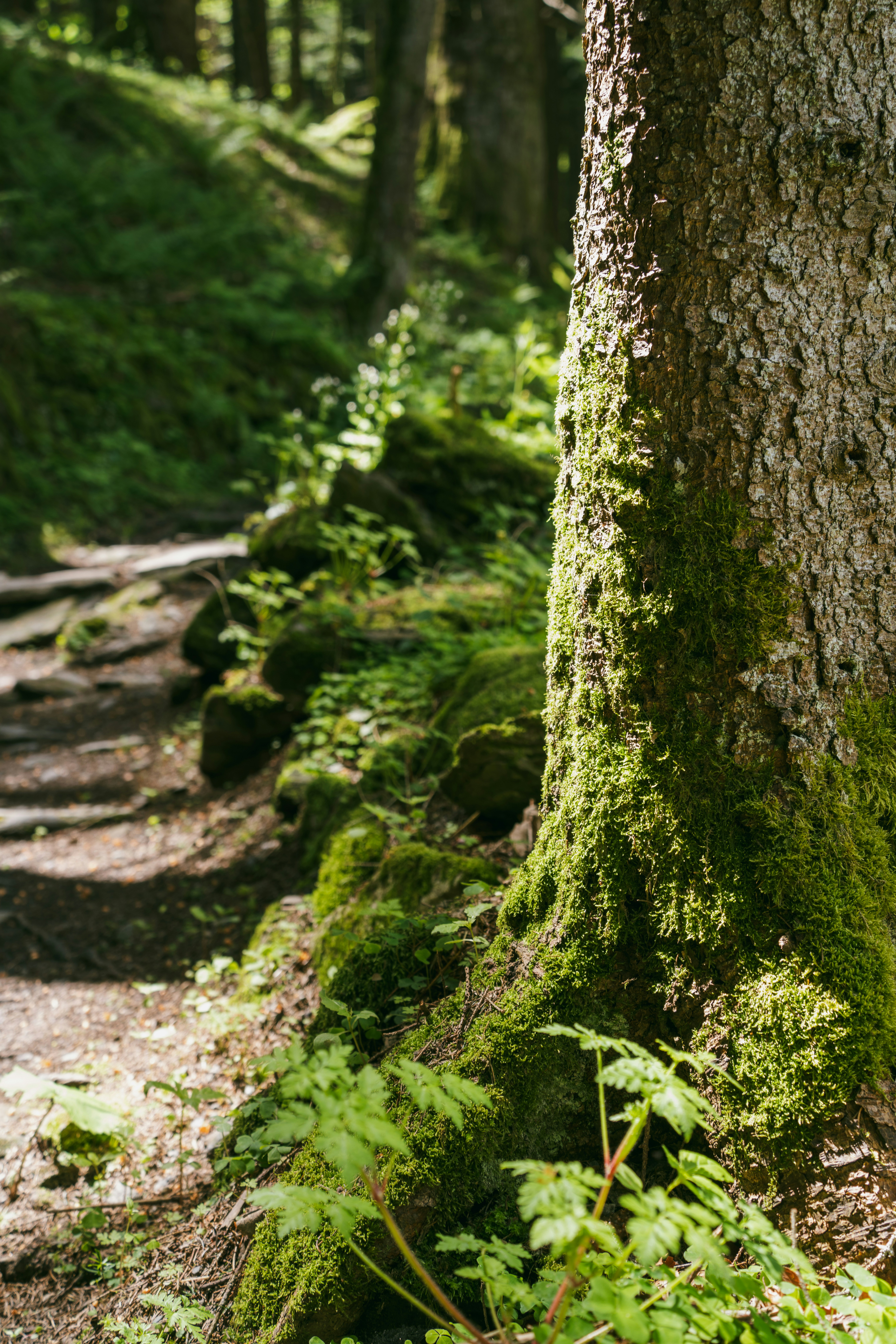 Photo by skyhung1228