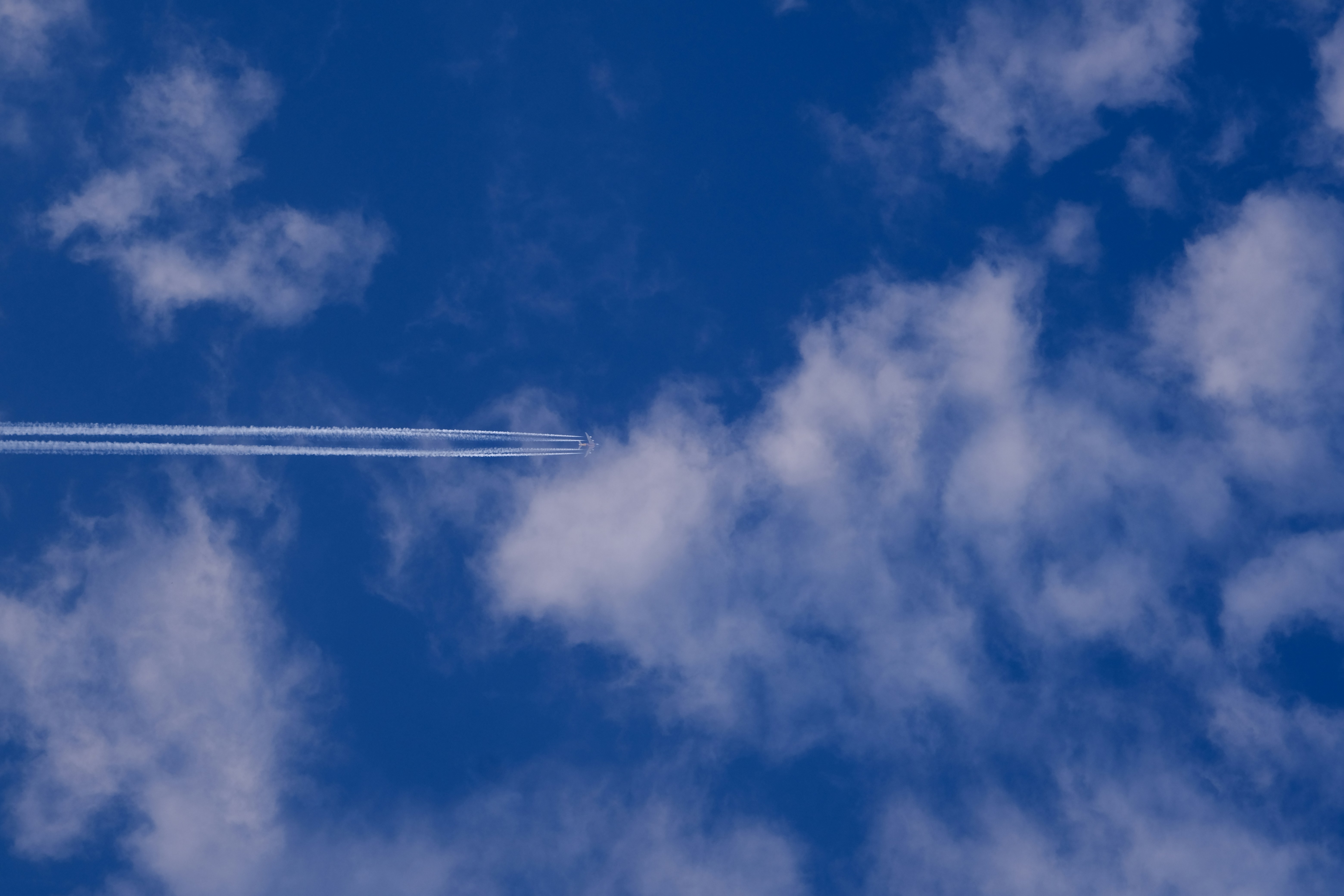 Photo by amadeusmoga