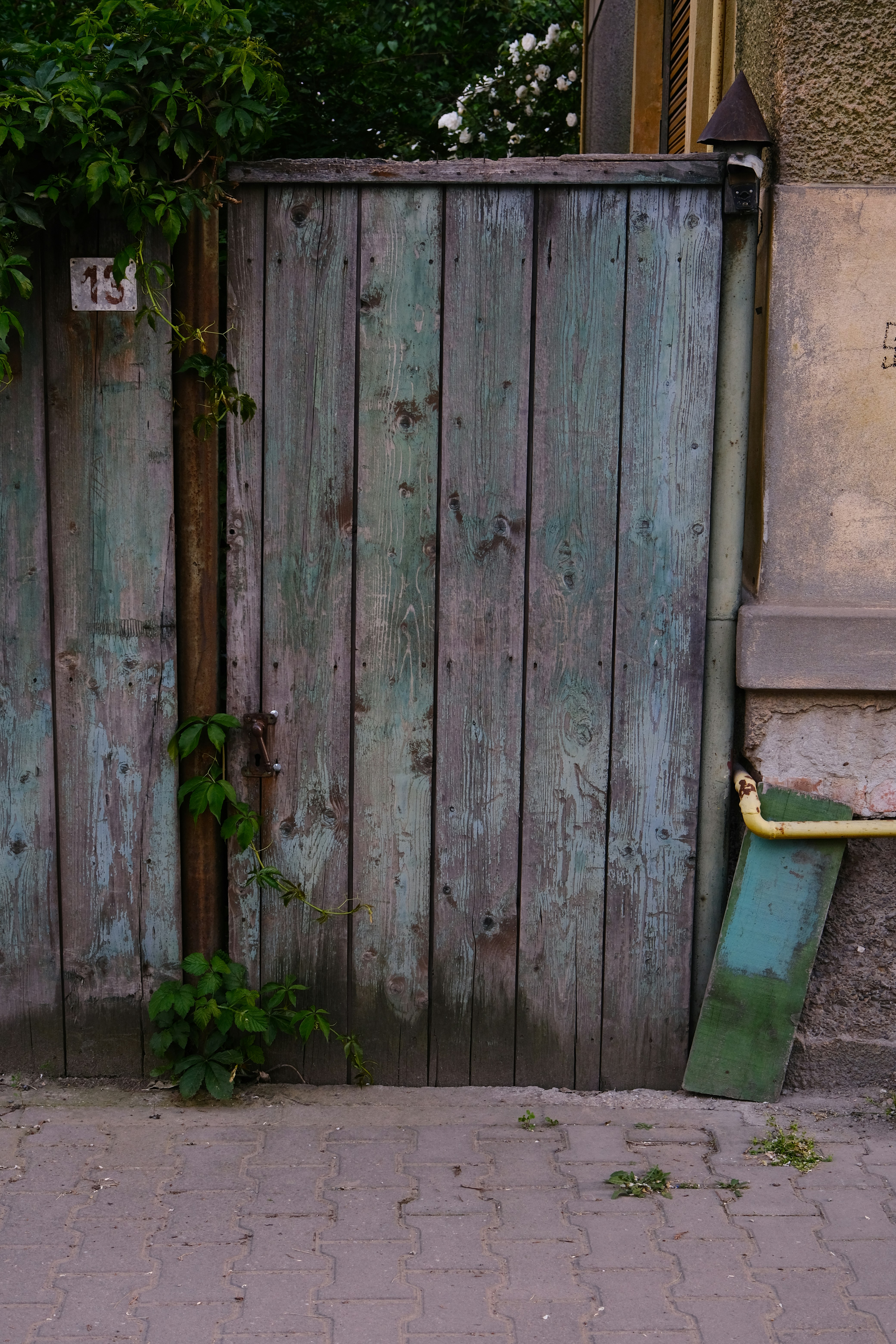 Photo by amadeusmoga