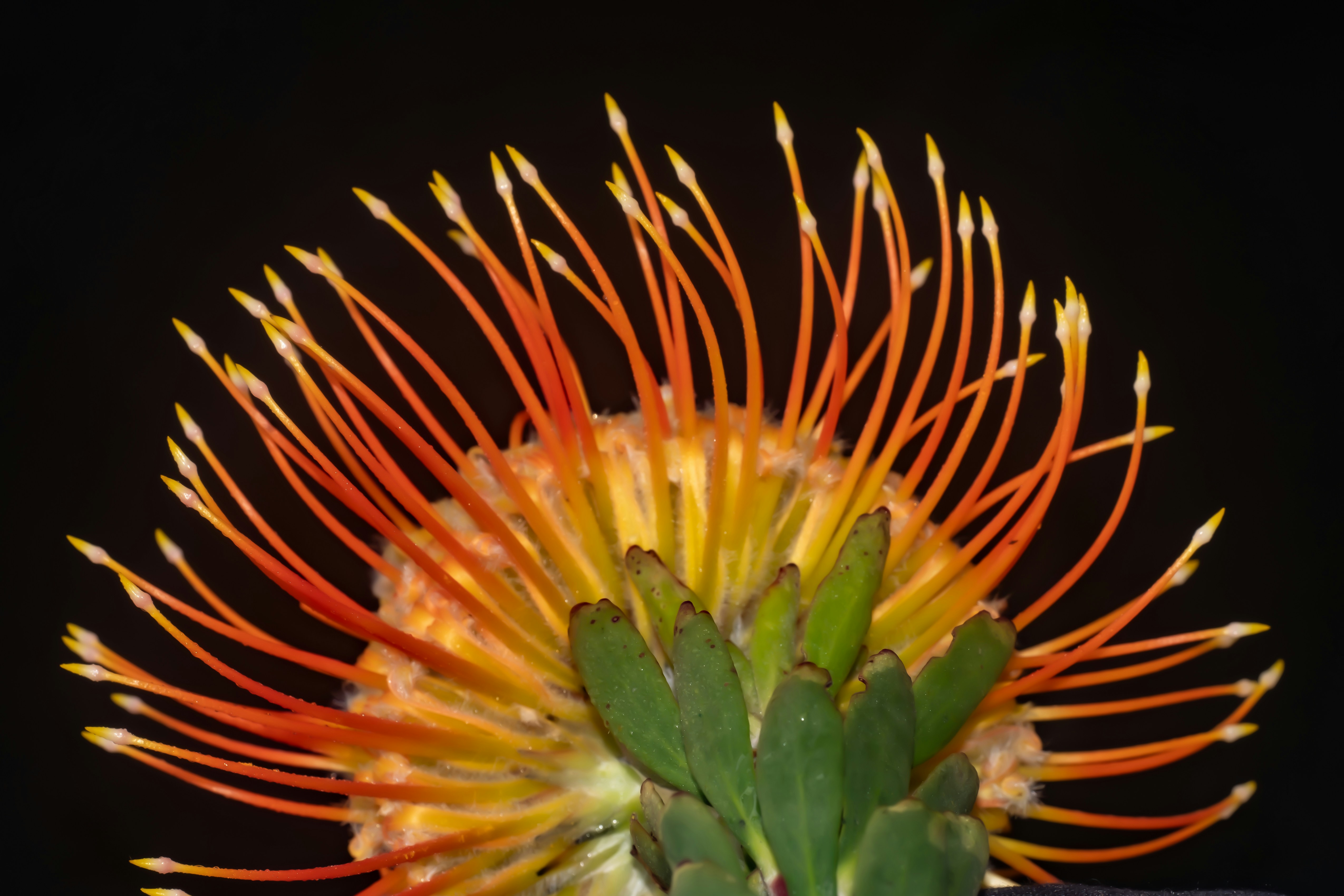 Photo by photosbyrachelo