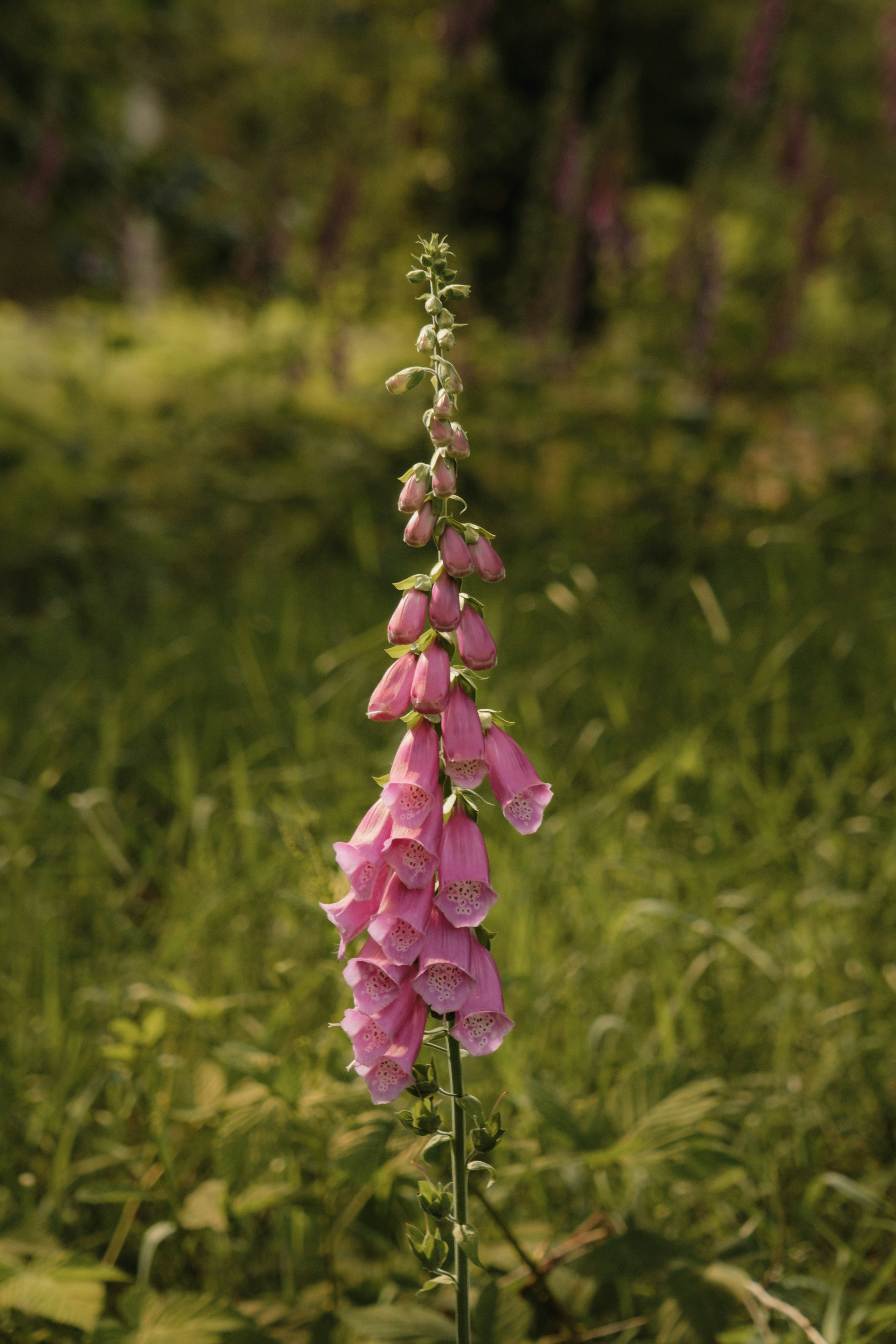 Photo by bymatthieum