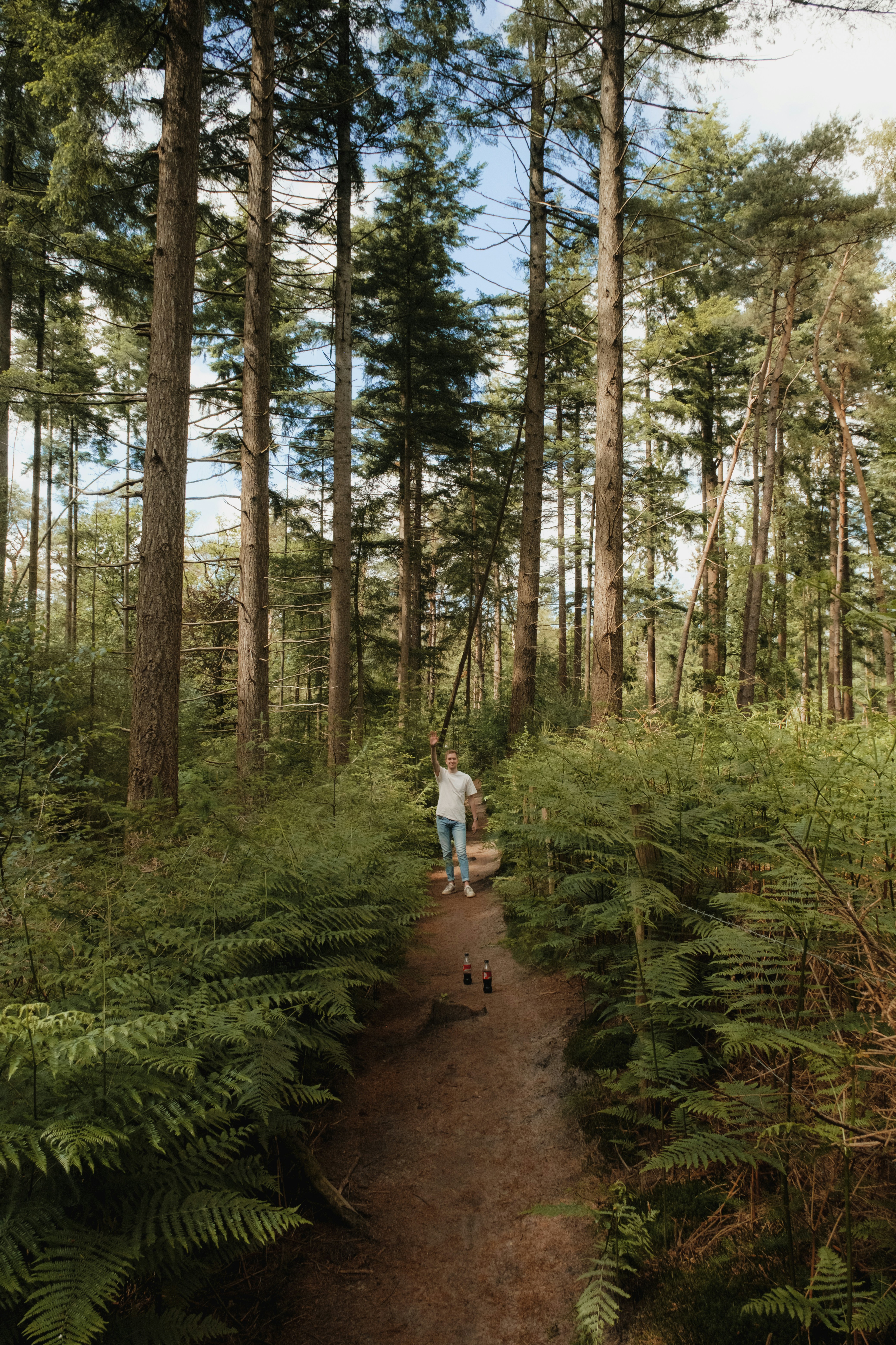 a person walking down a path in the woods
