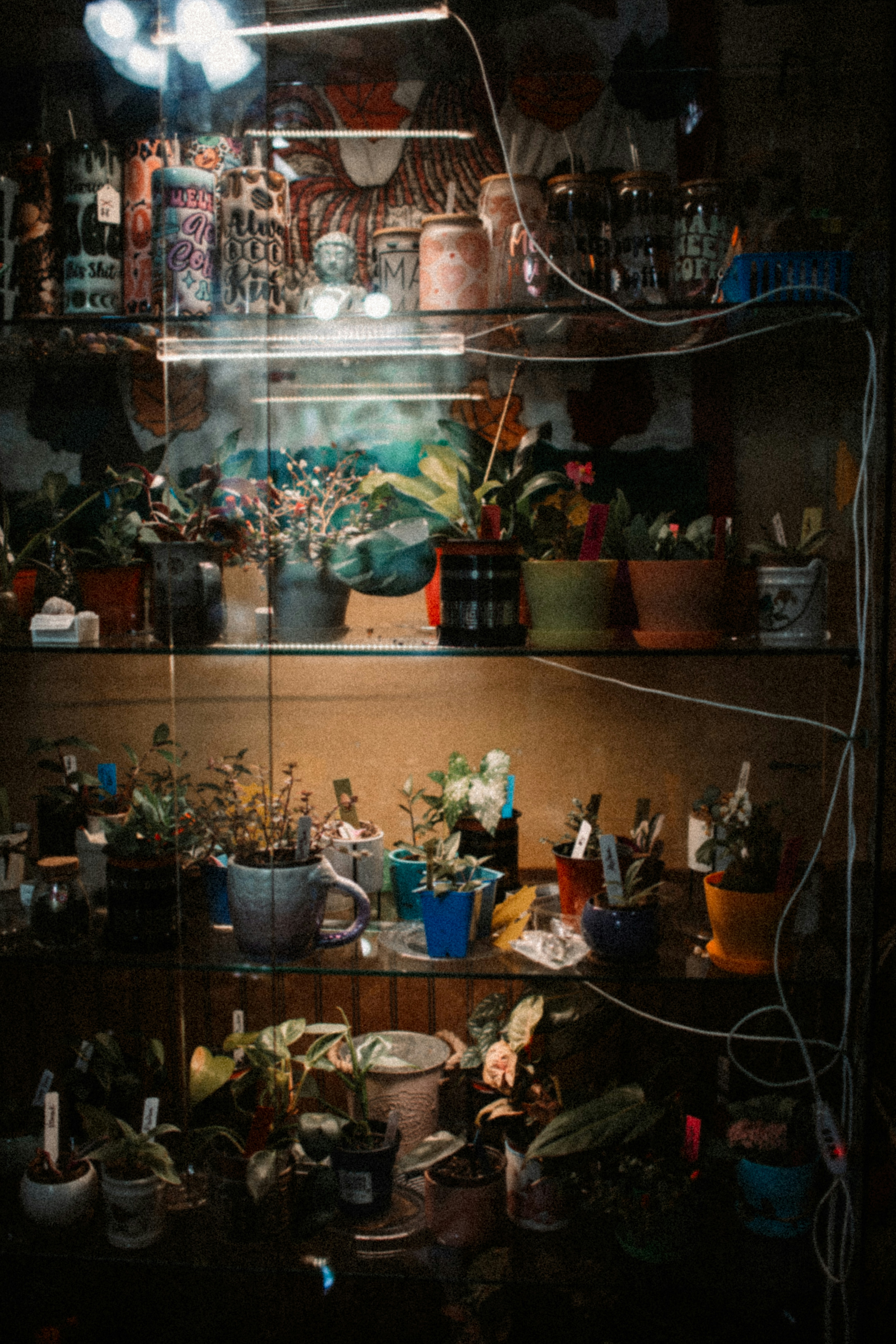 a room filled with lots of plants and pots