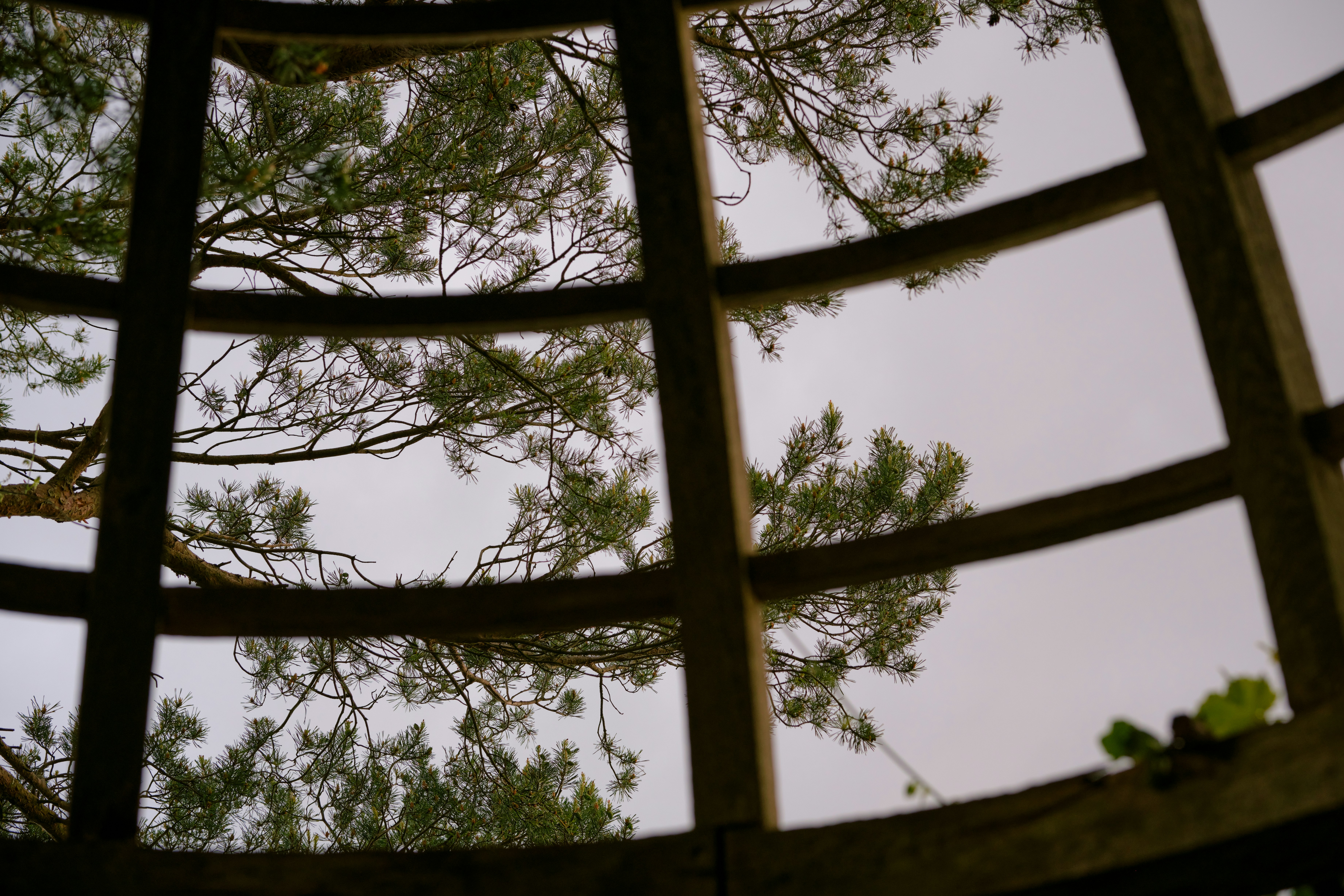 Photo by romanakash27