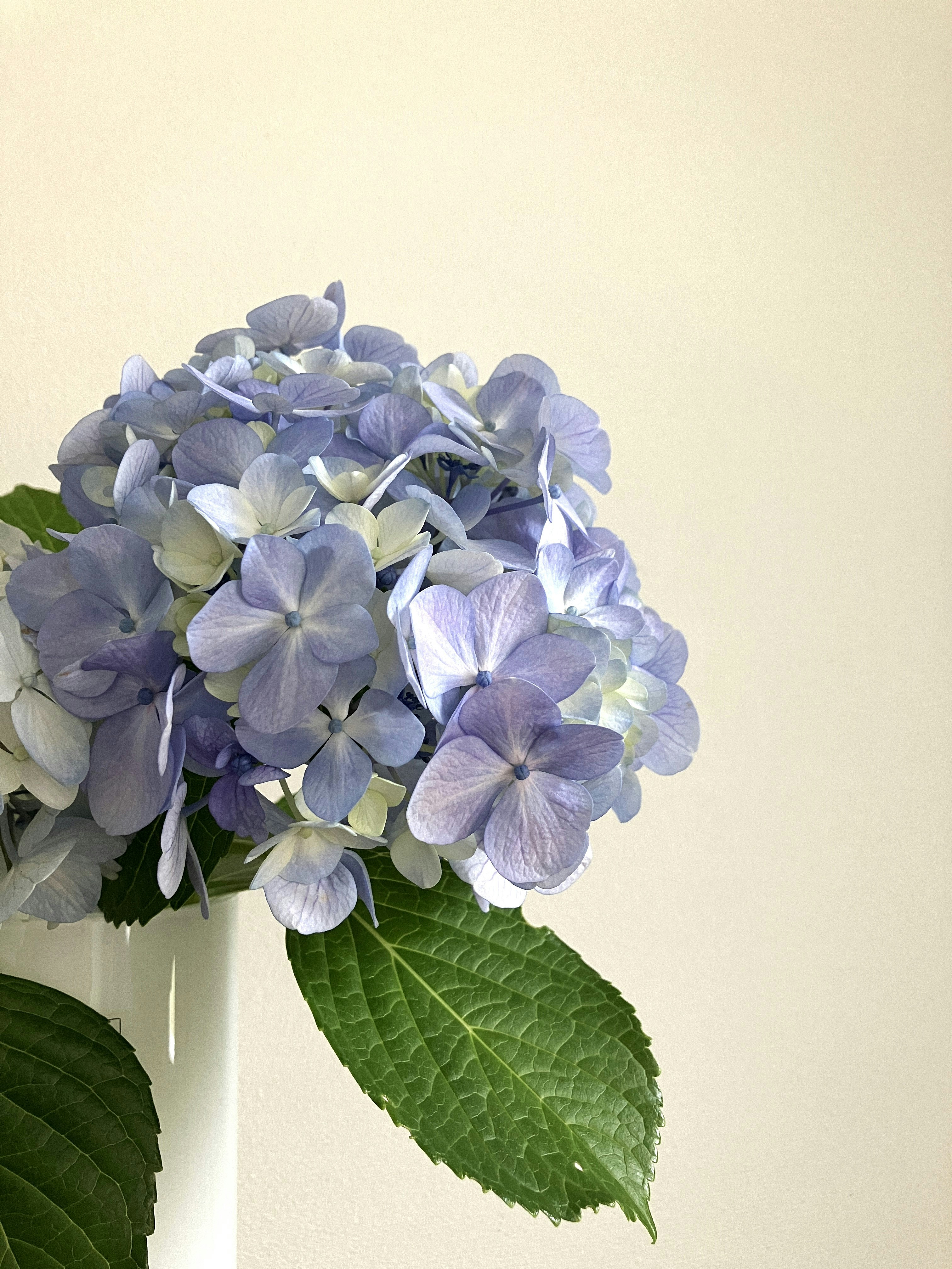 Photo by eriko_takahashi