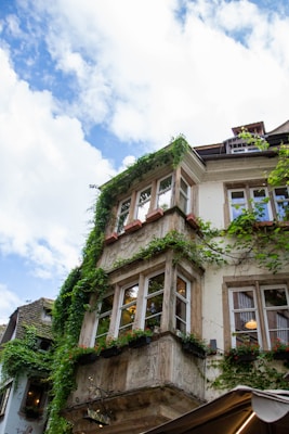 a tall building with lots of windows covered in vines
