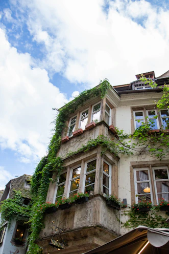 a tall building with lots of windows covered in vines
