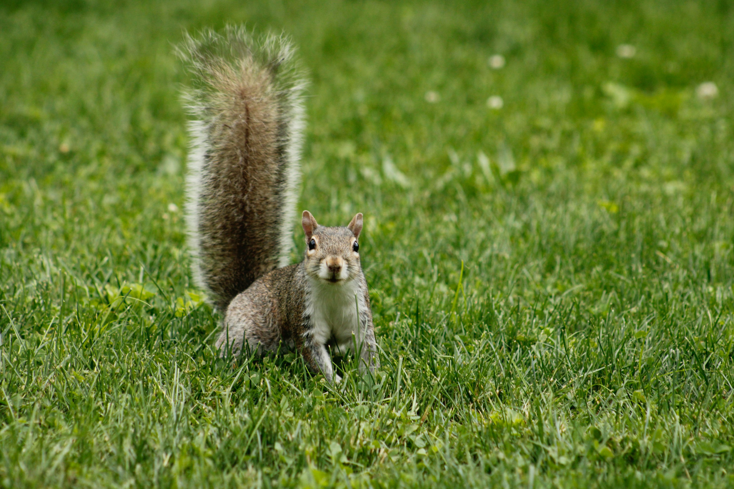 Photo by lisa_duqlaw