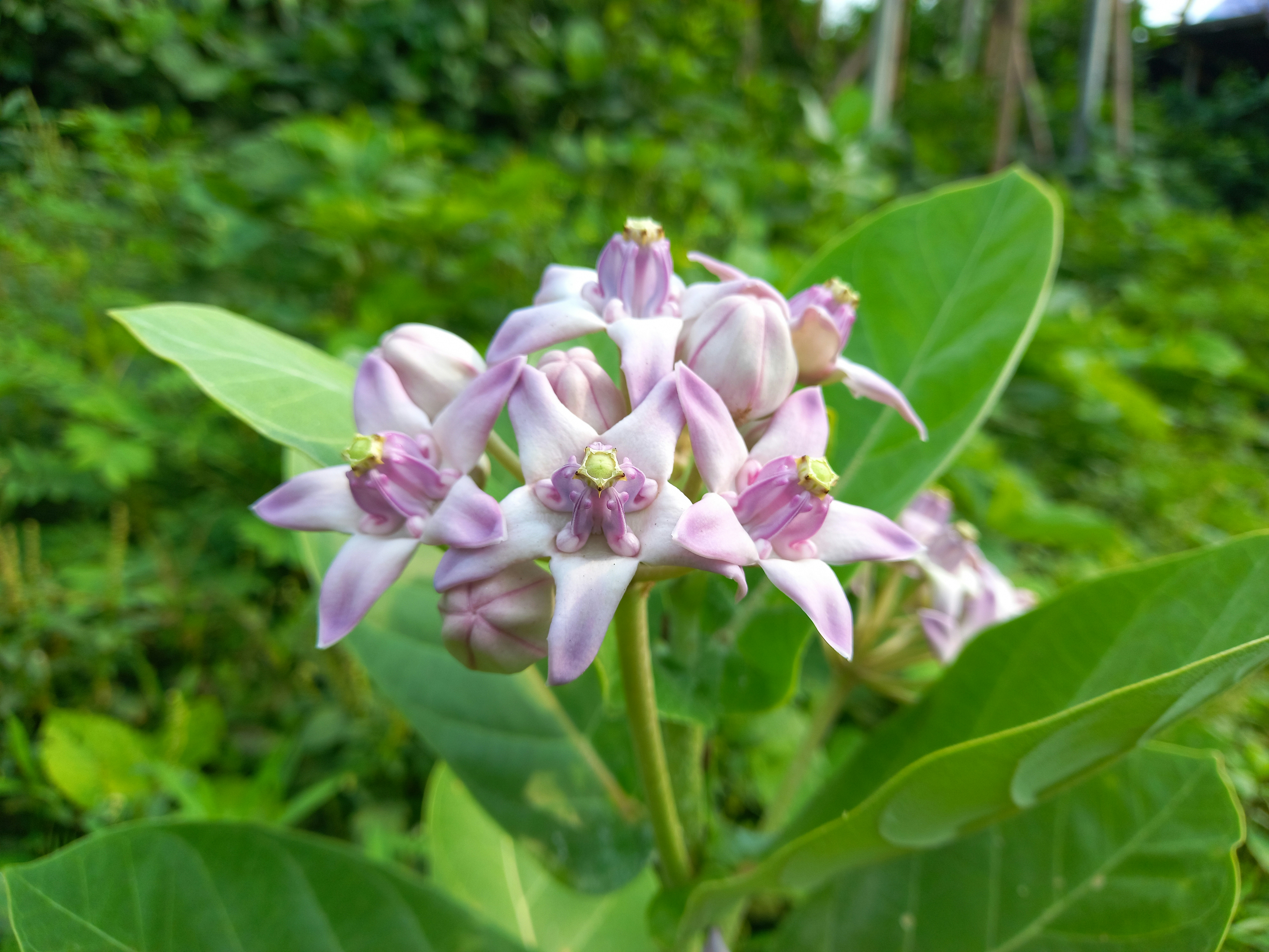 Photo by riatulhasan