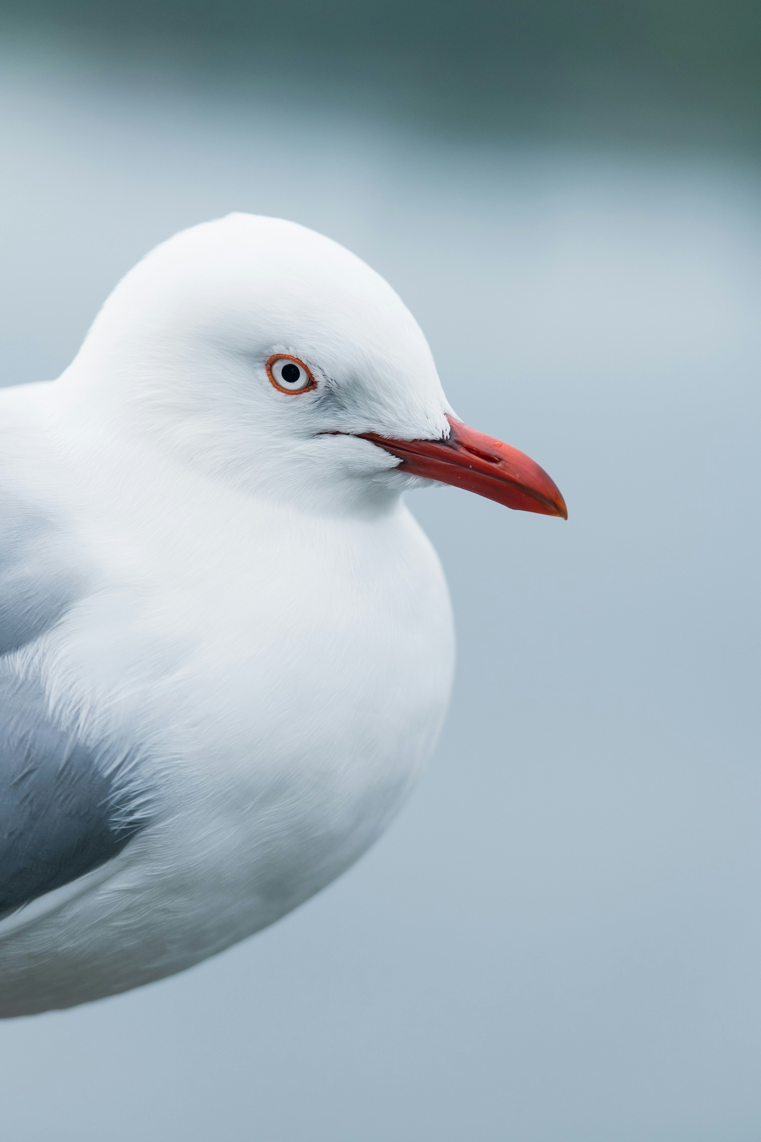 Photo by countingframez