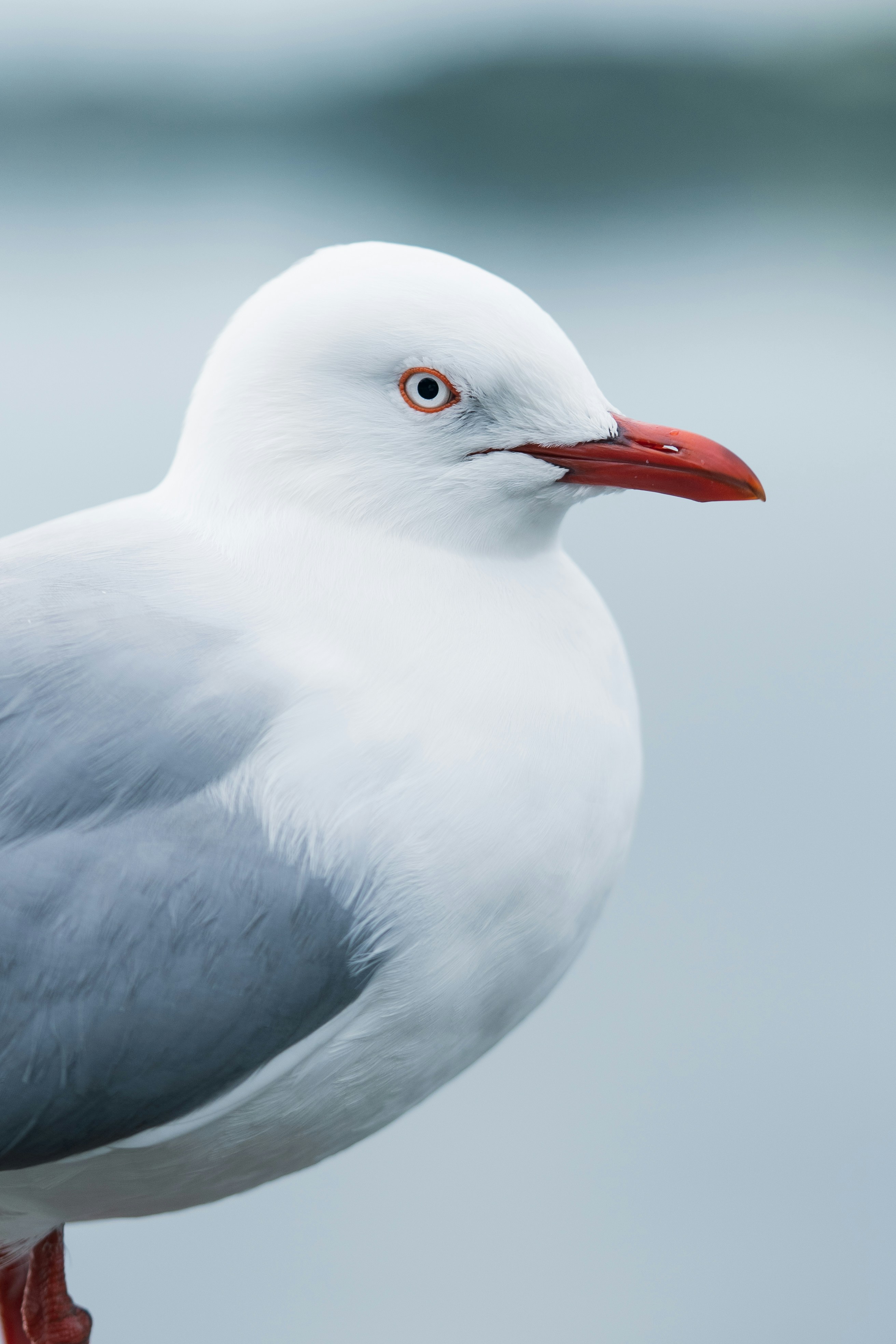 Photo by countingframez