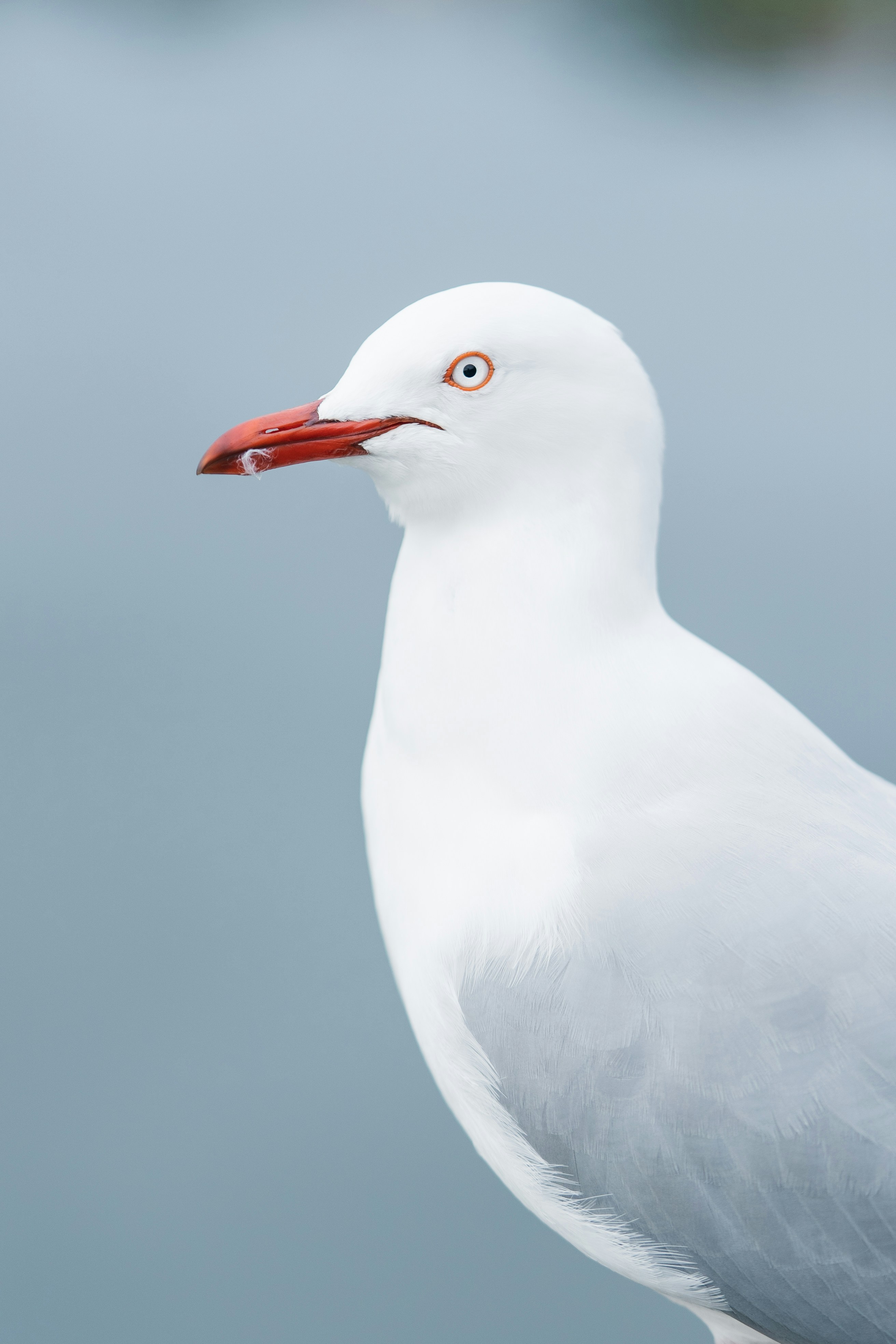 Photo by countingframez