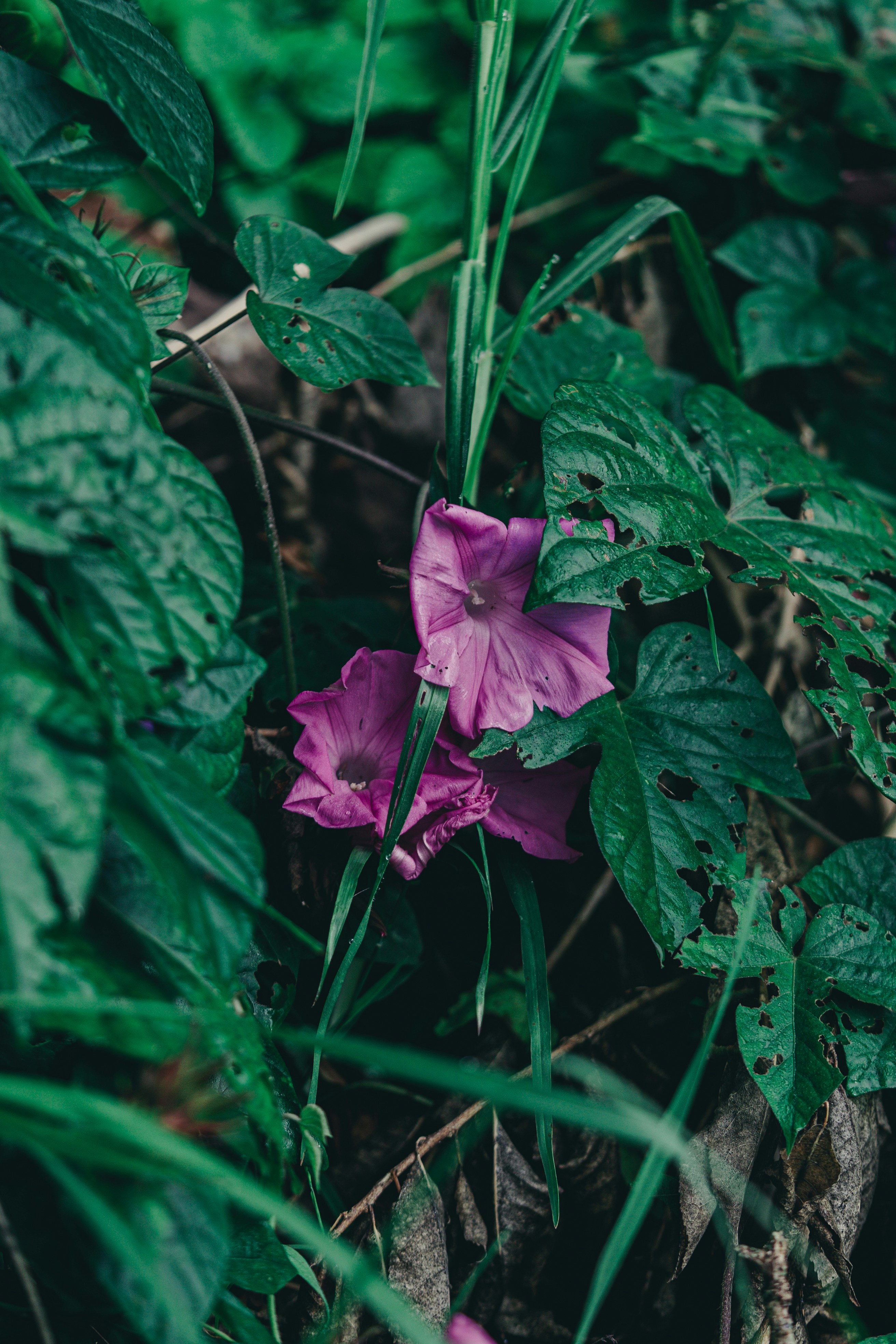 Photo by countingframez