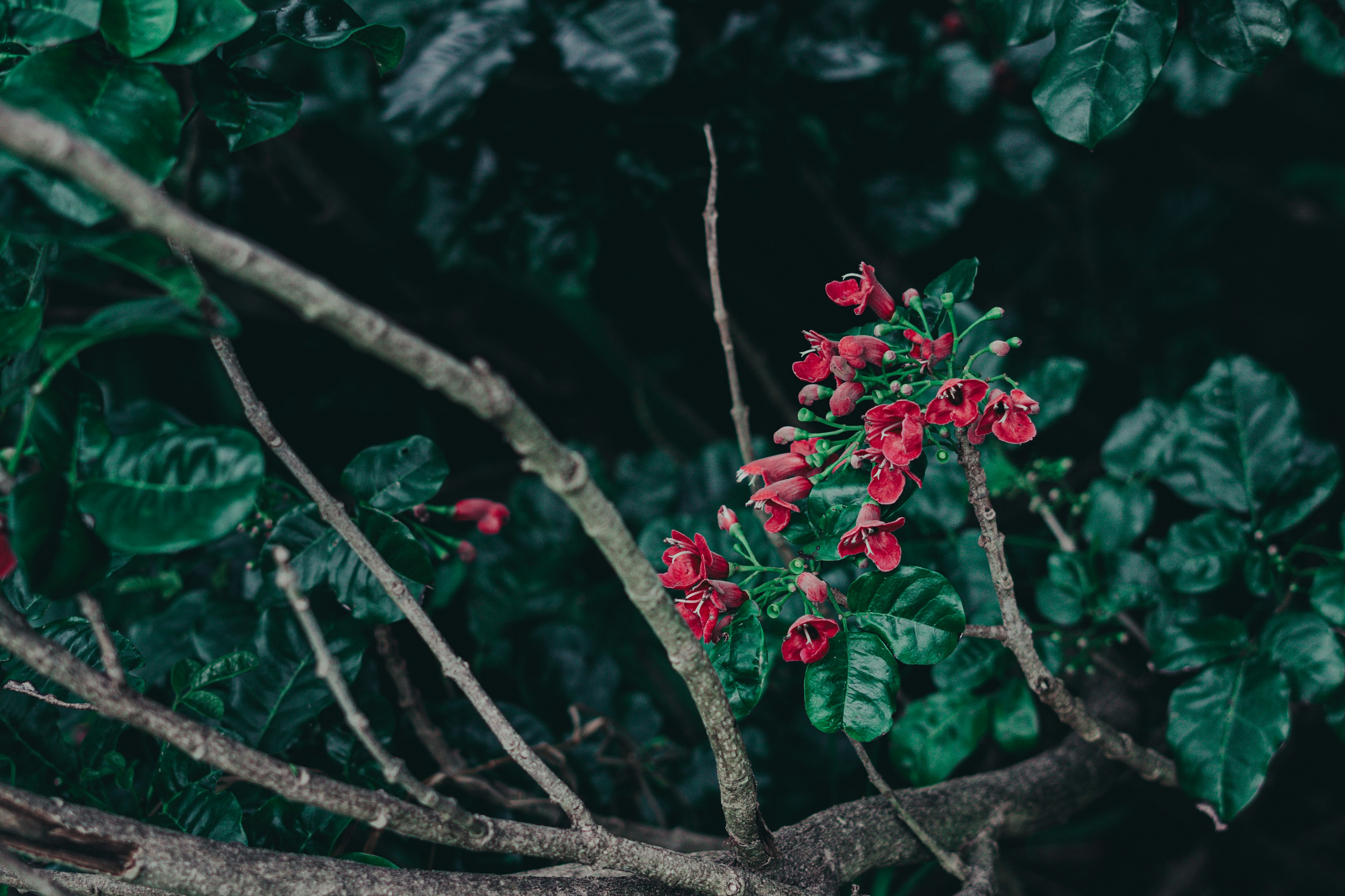 Photo by countingframez