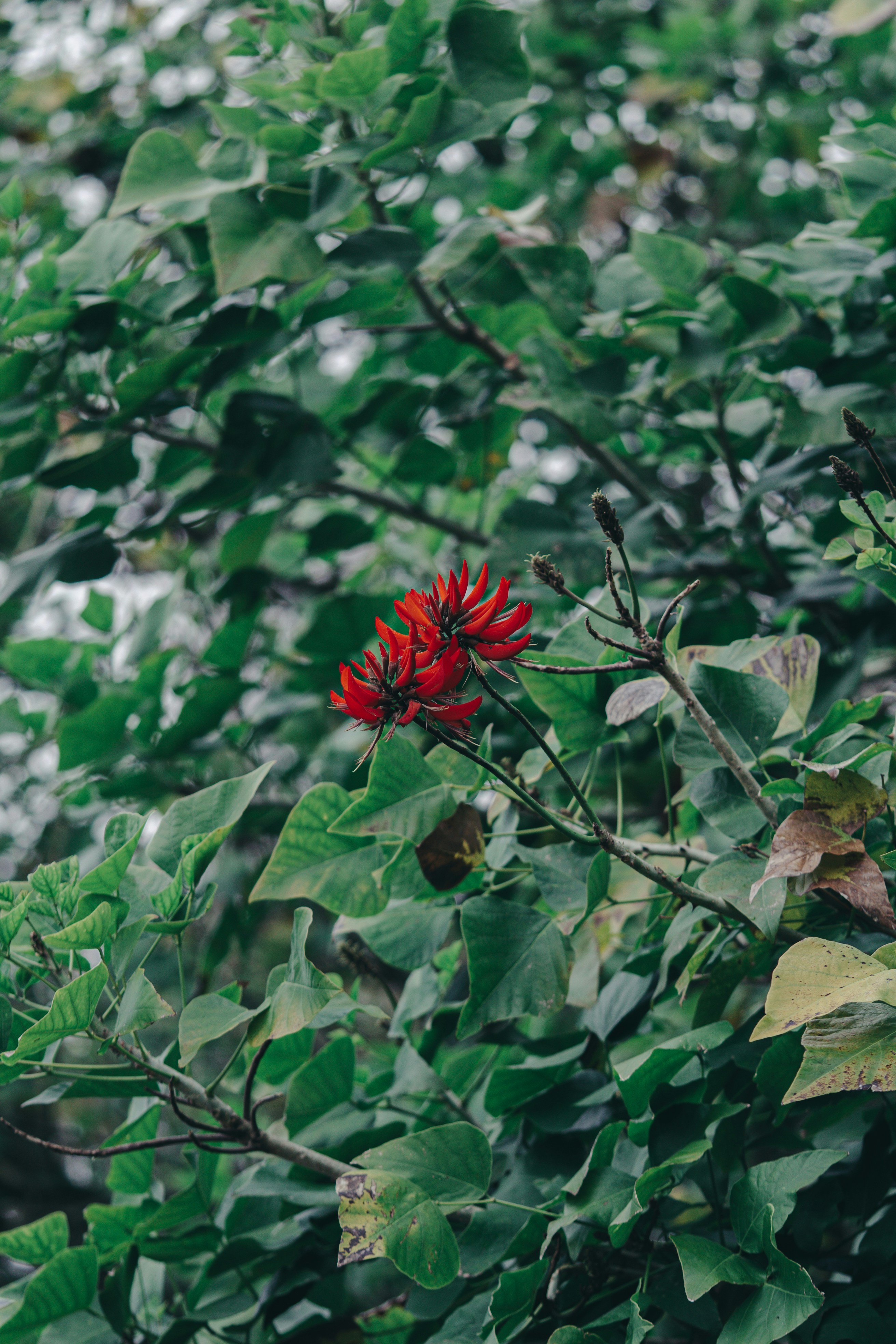 Photo by countingframez