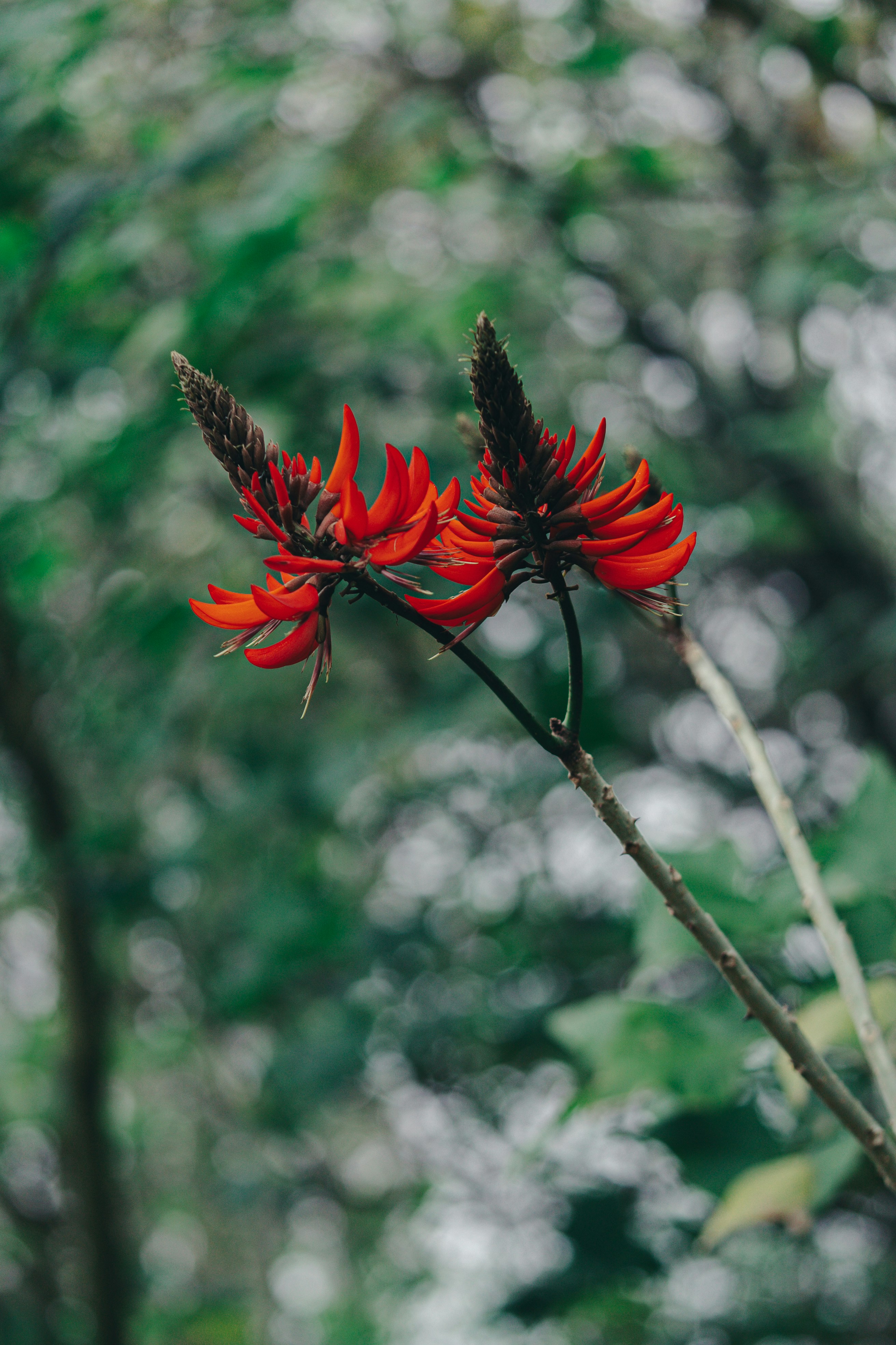 Photo by countingframez