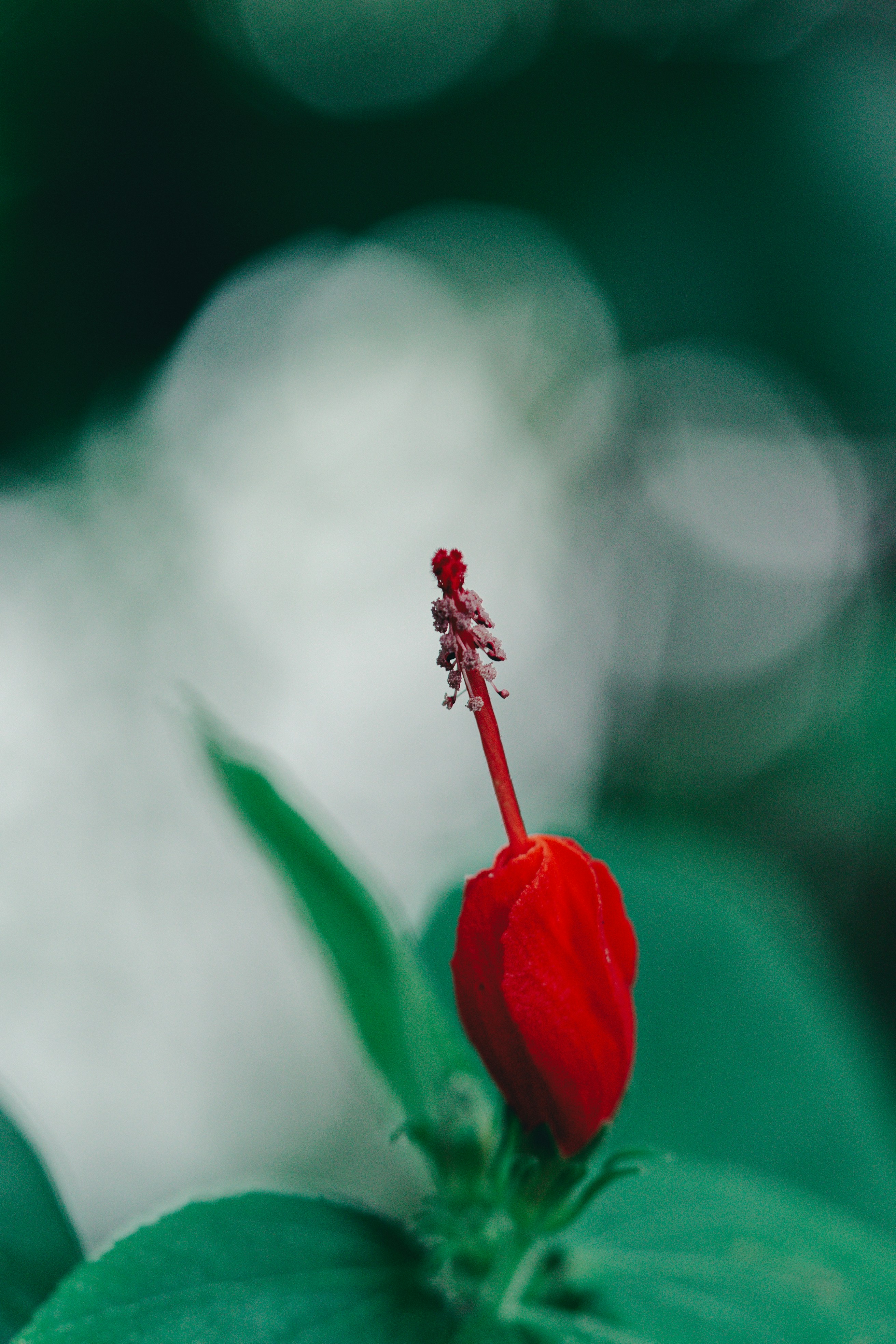 Photo by countingframez