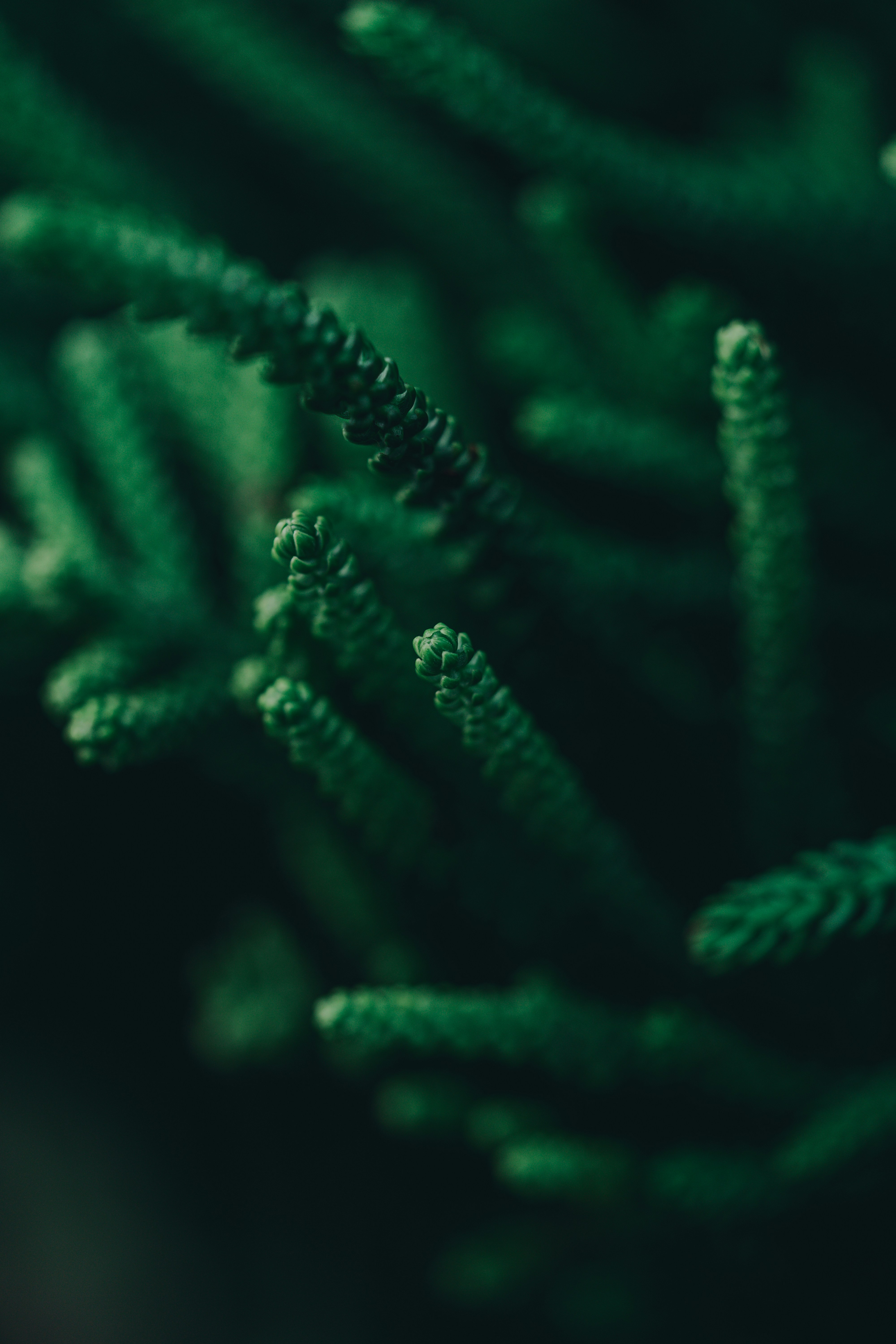 Photo by countingframez