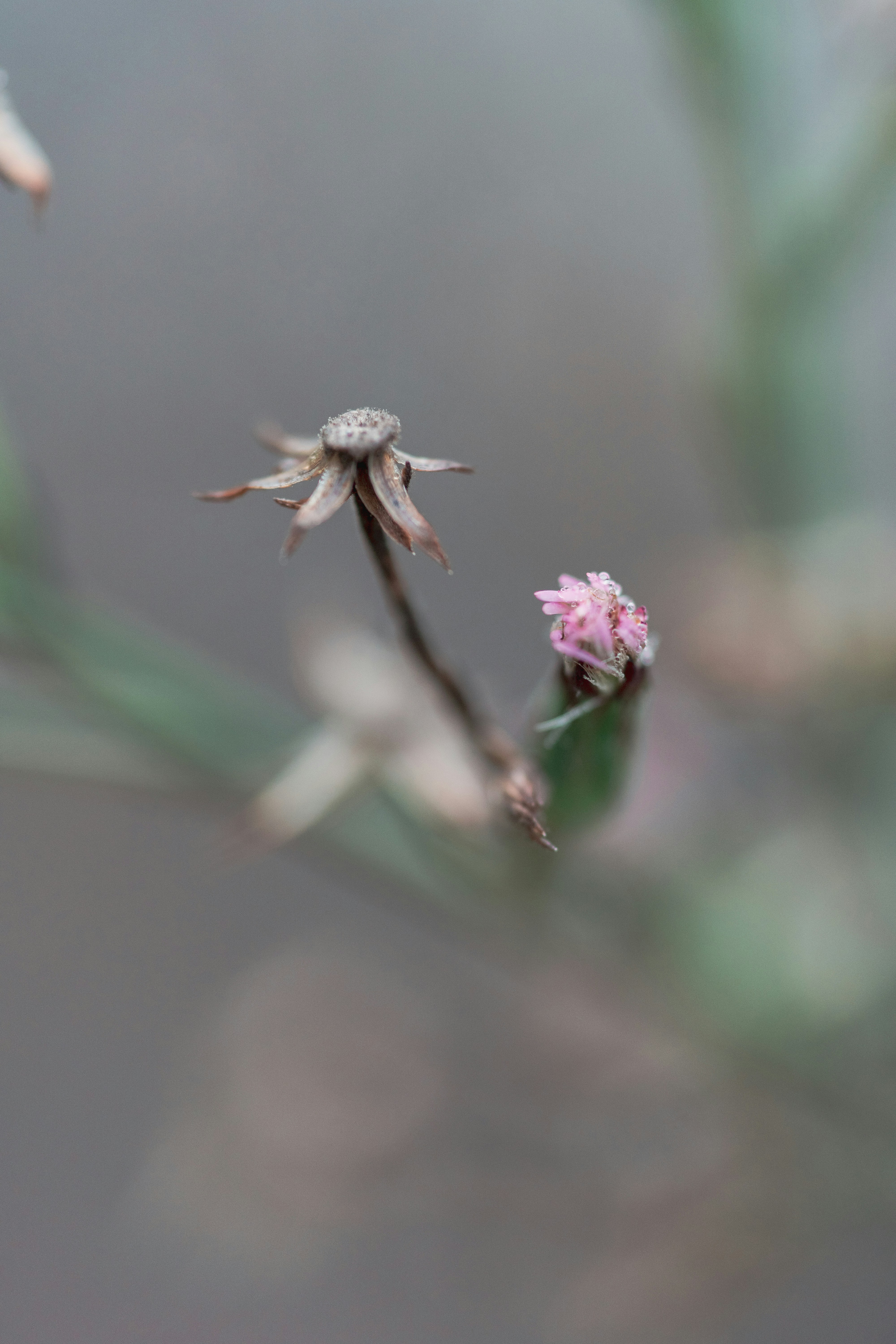 Photo by countingframez