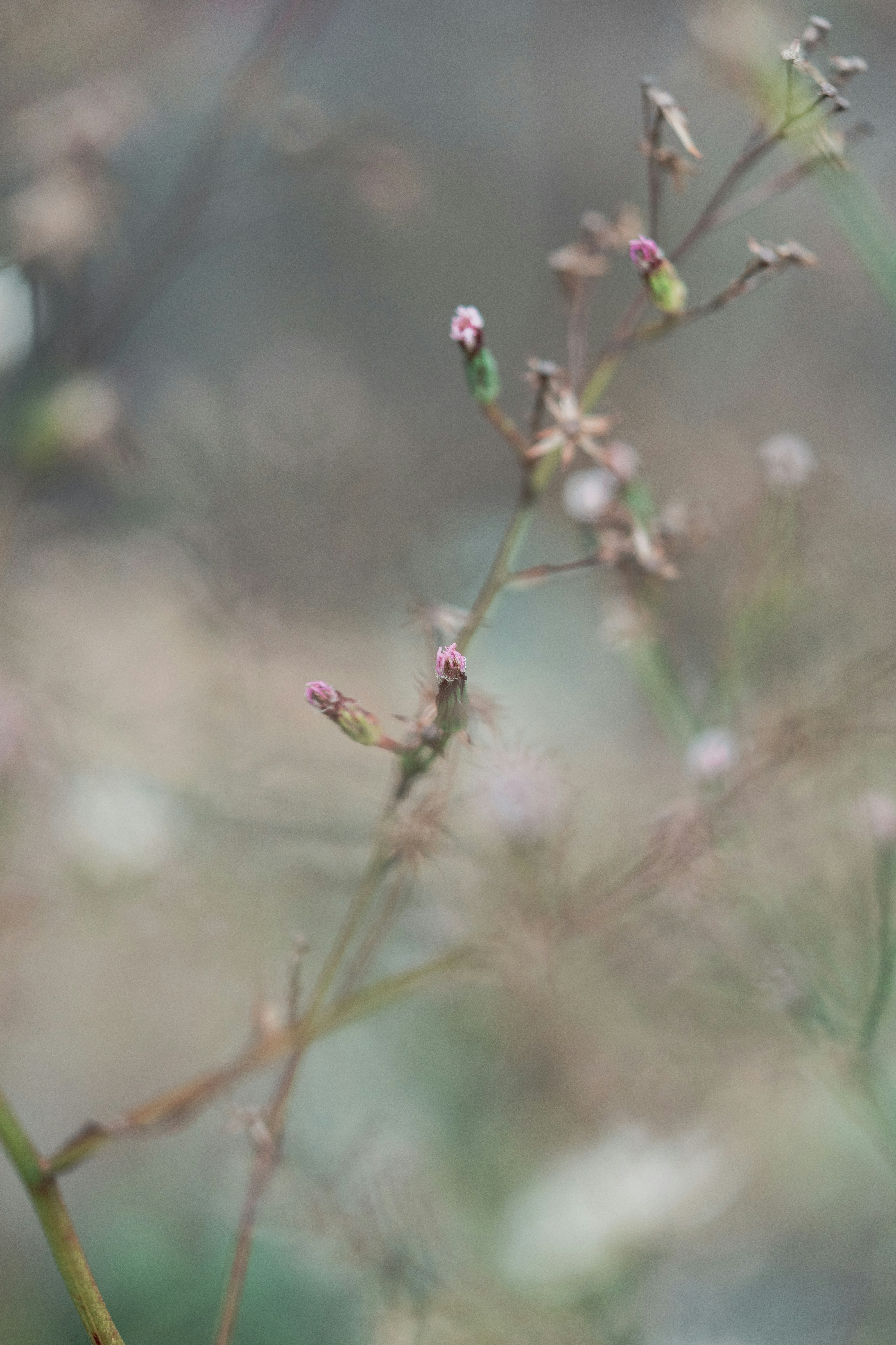 Photo by countingframez