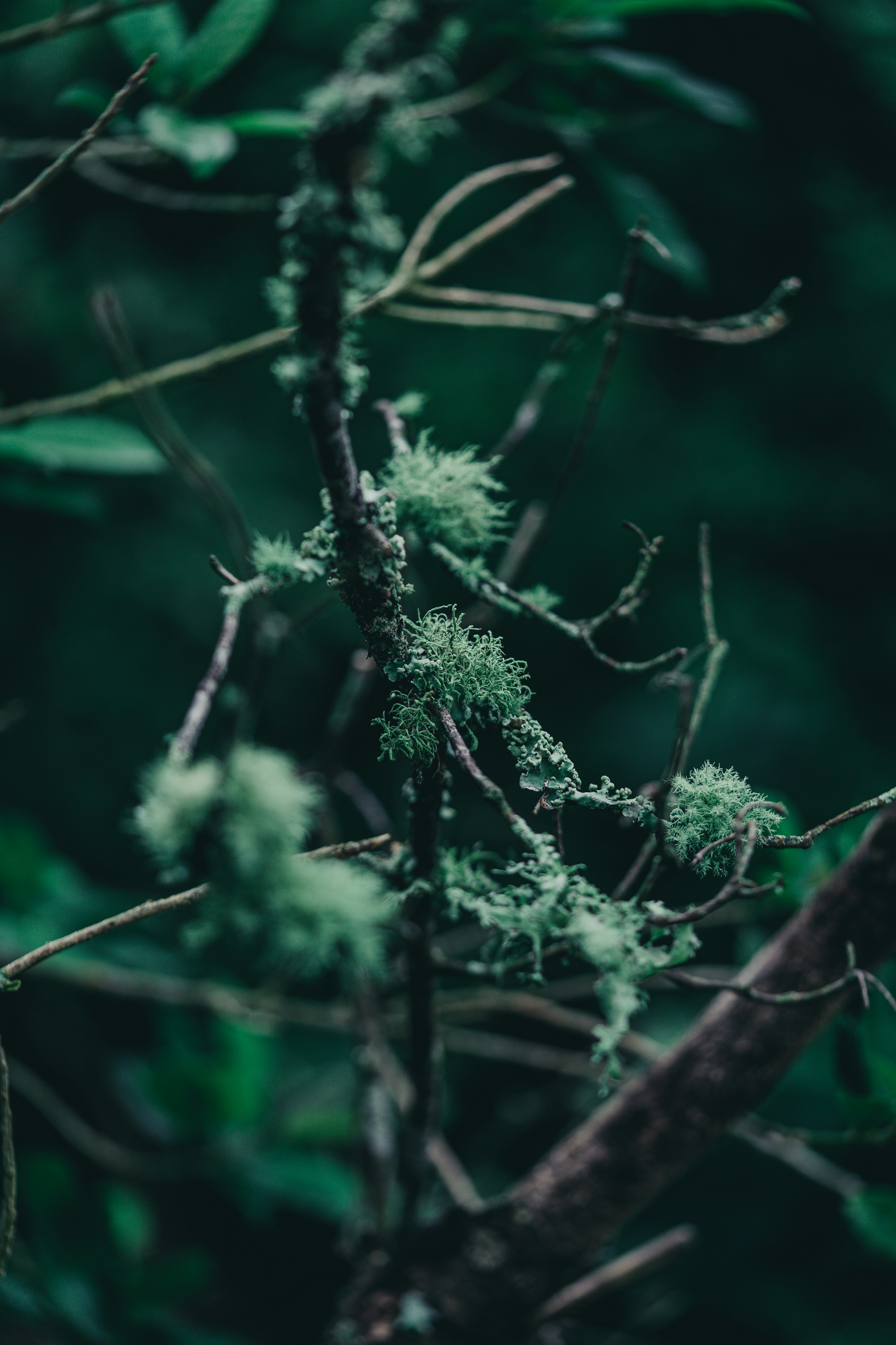 Photo by countingframez