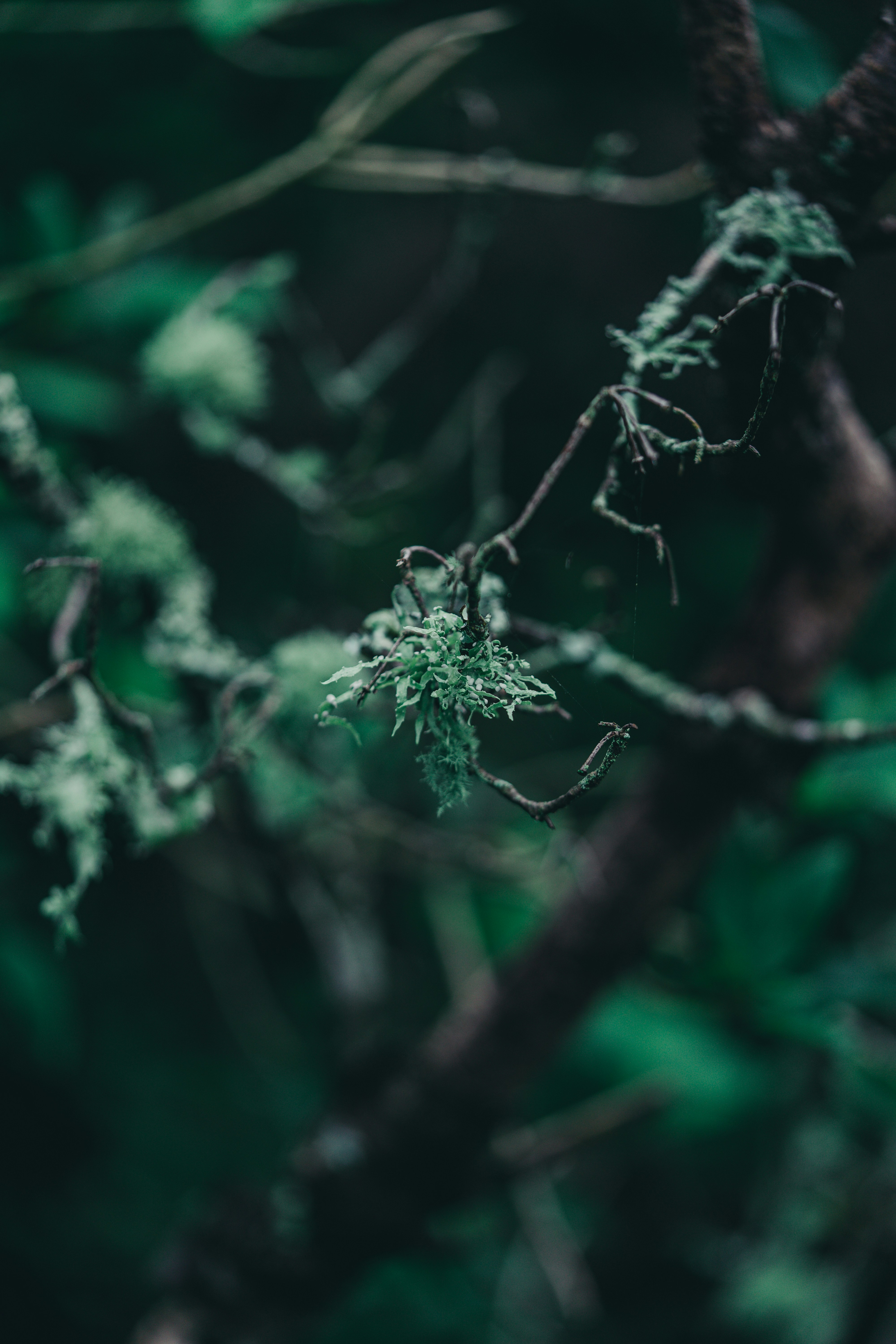 Photo by countingframez